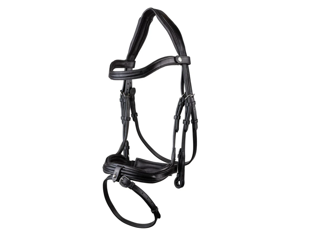 EcoRider Kilkenny v2.0 Bridle main view