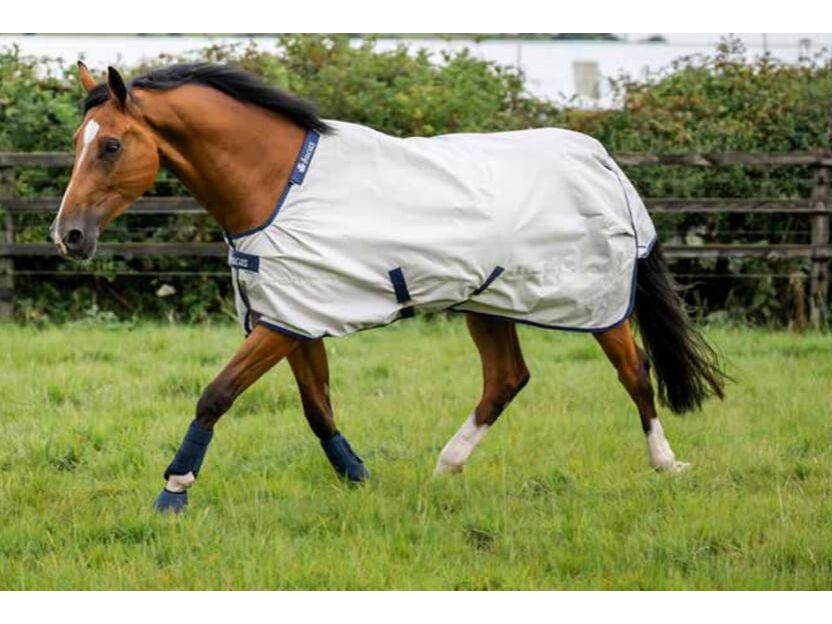 A brown horse walking in a grassy field wearing a Bucas Sun Shower  blanket with dark trim.