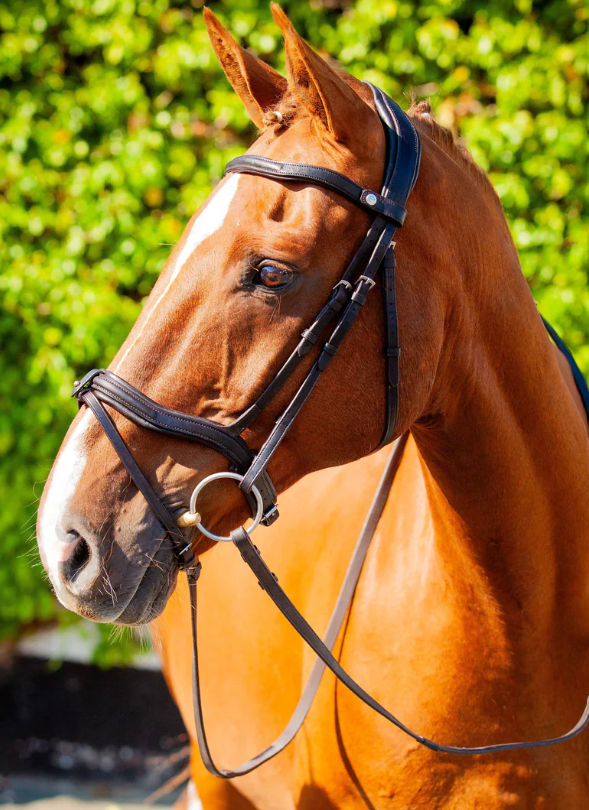 EcoRider Kilkenny v2.0 Bridle