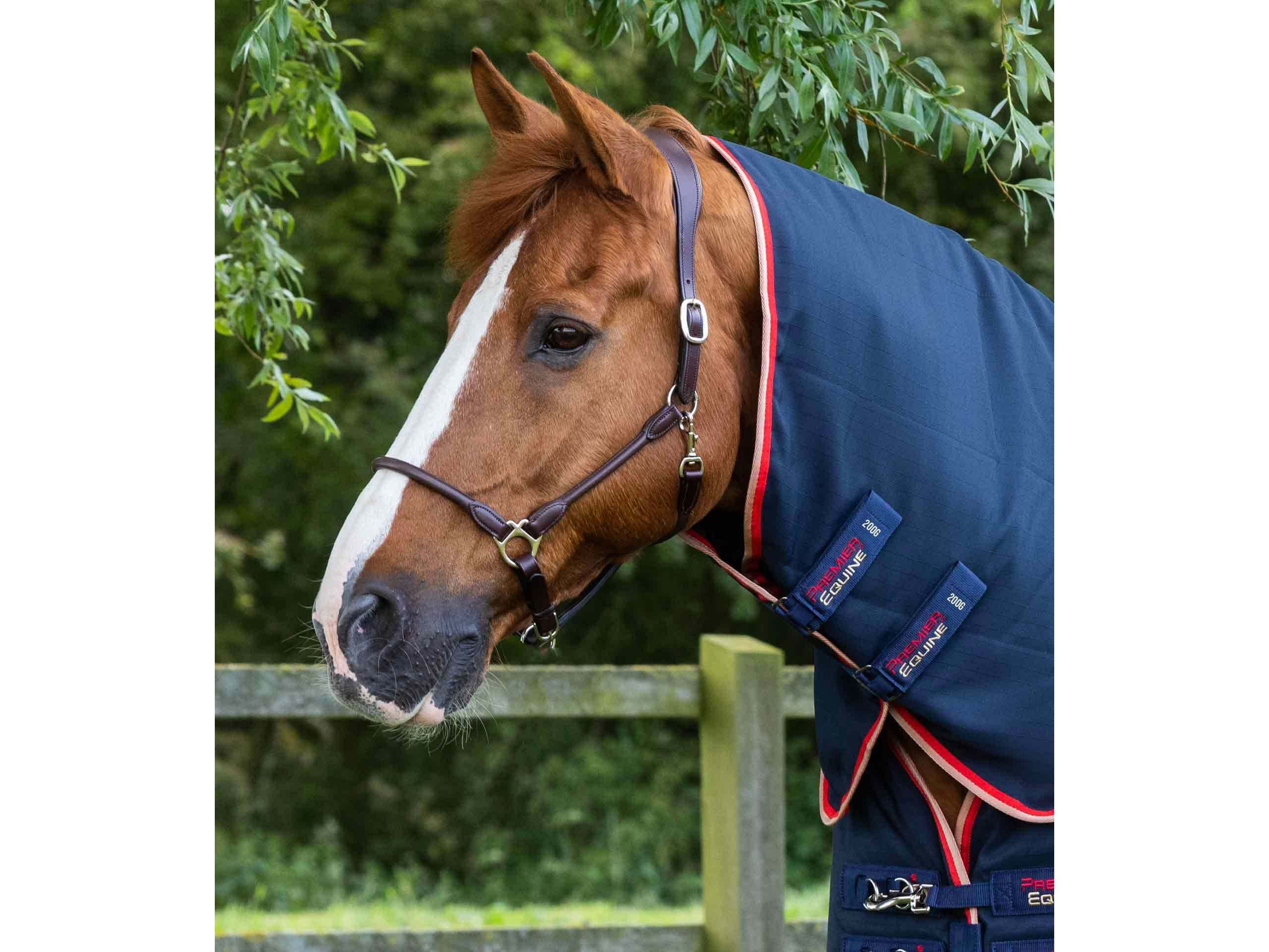 Stable Buster 200g Stable Rug with Neck Cover