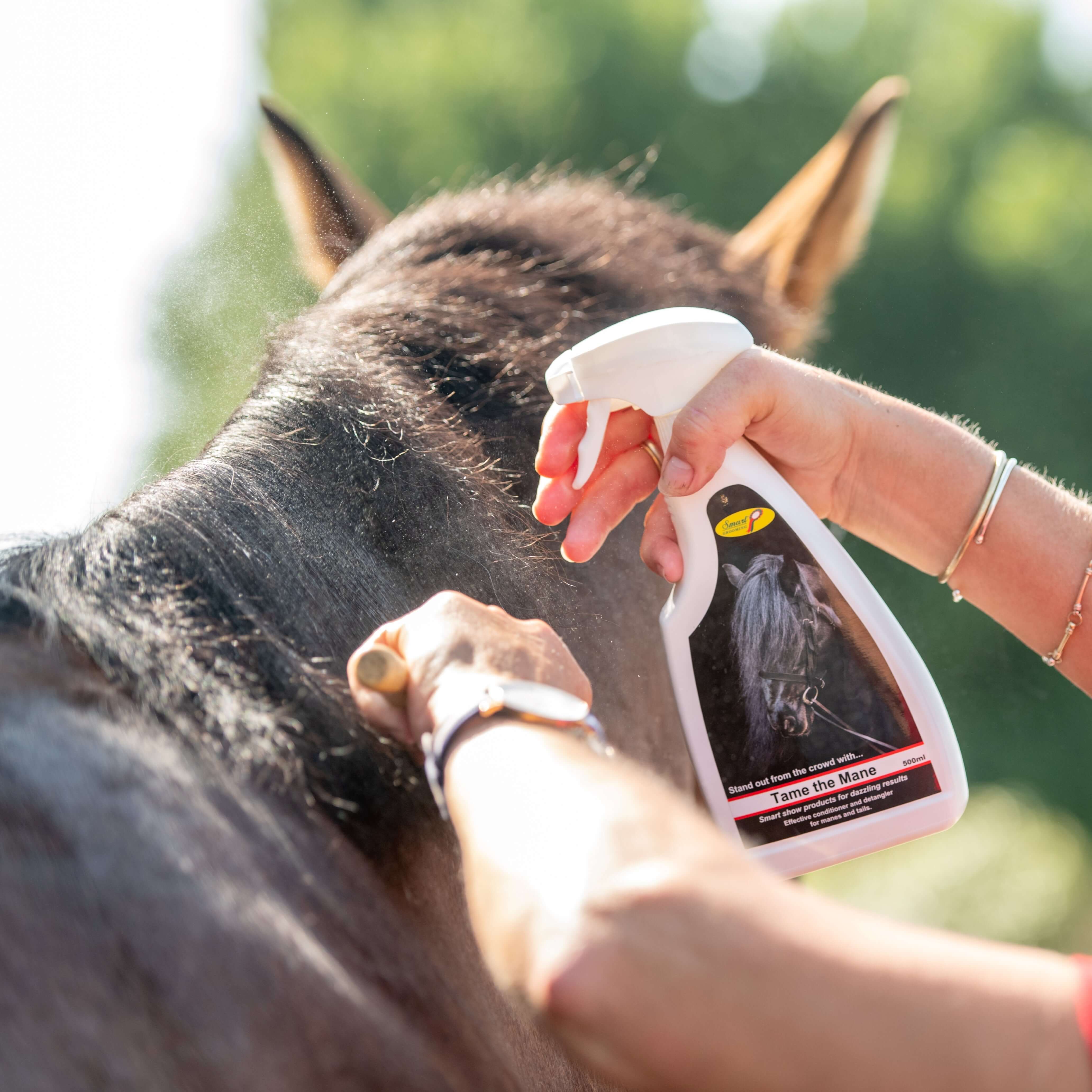 tame the mane - equestrian equipment