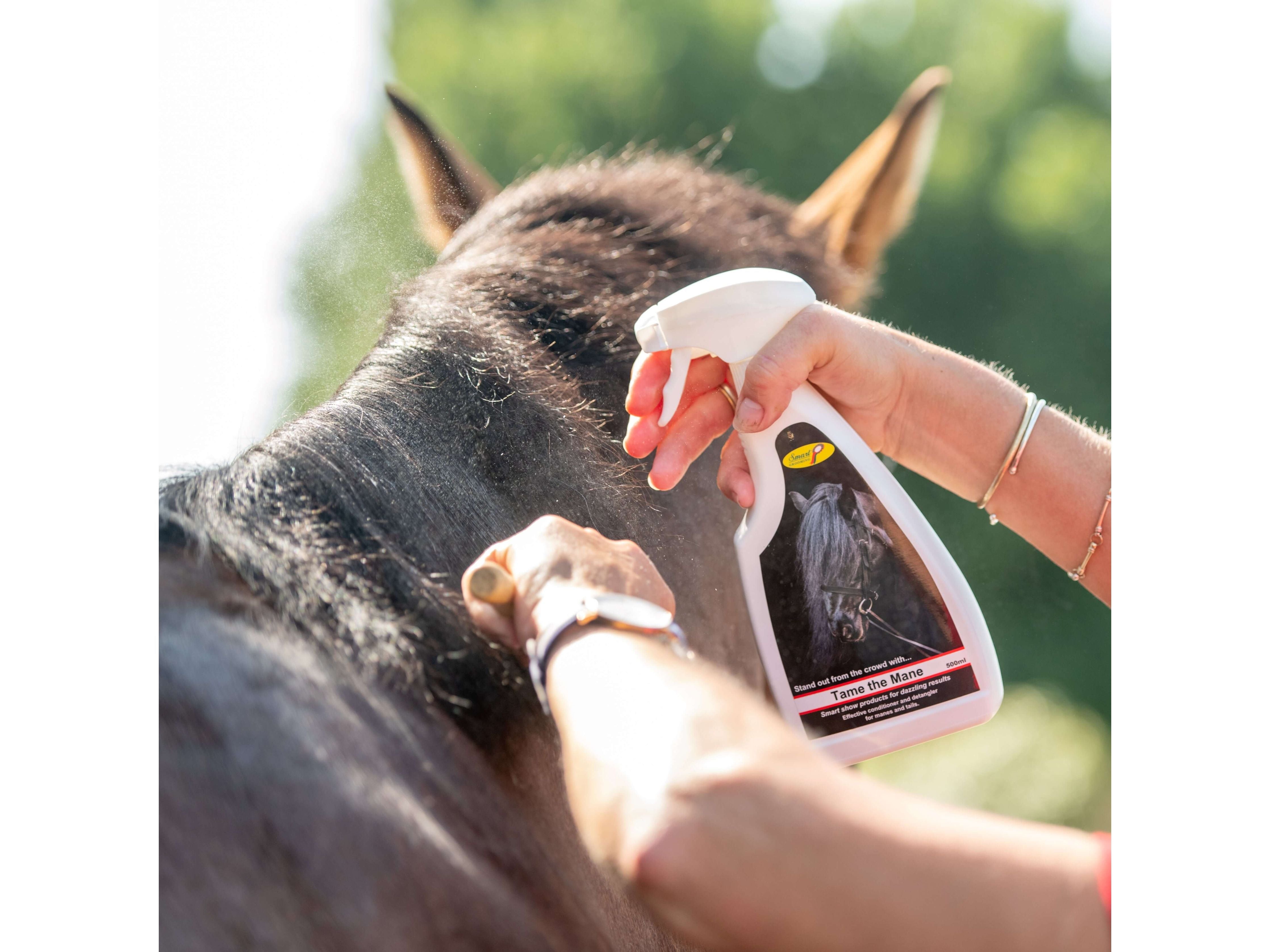 tame the mane - equestrian equipment
