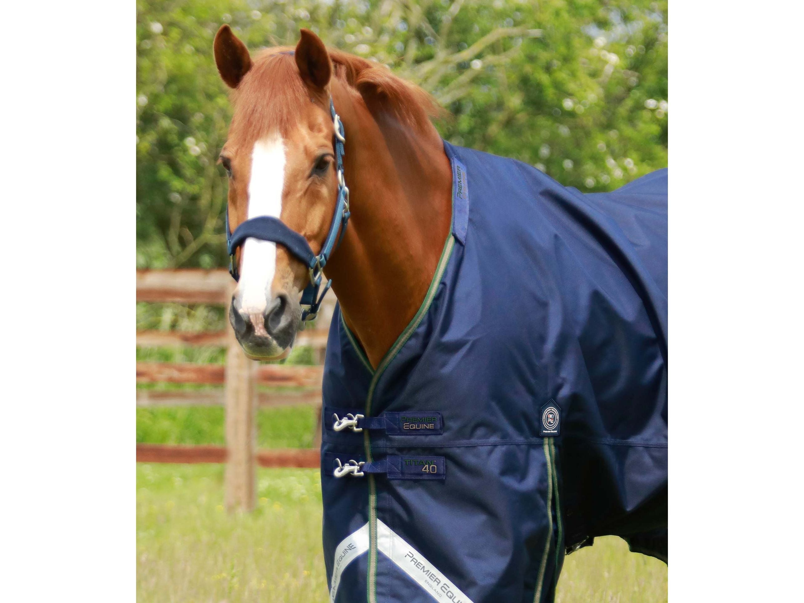 Titan 40g Turnout Rug with Snug-Fit Neck Cover