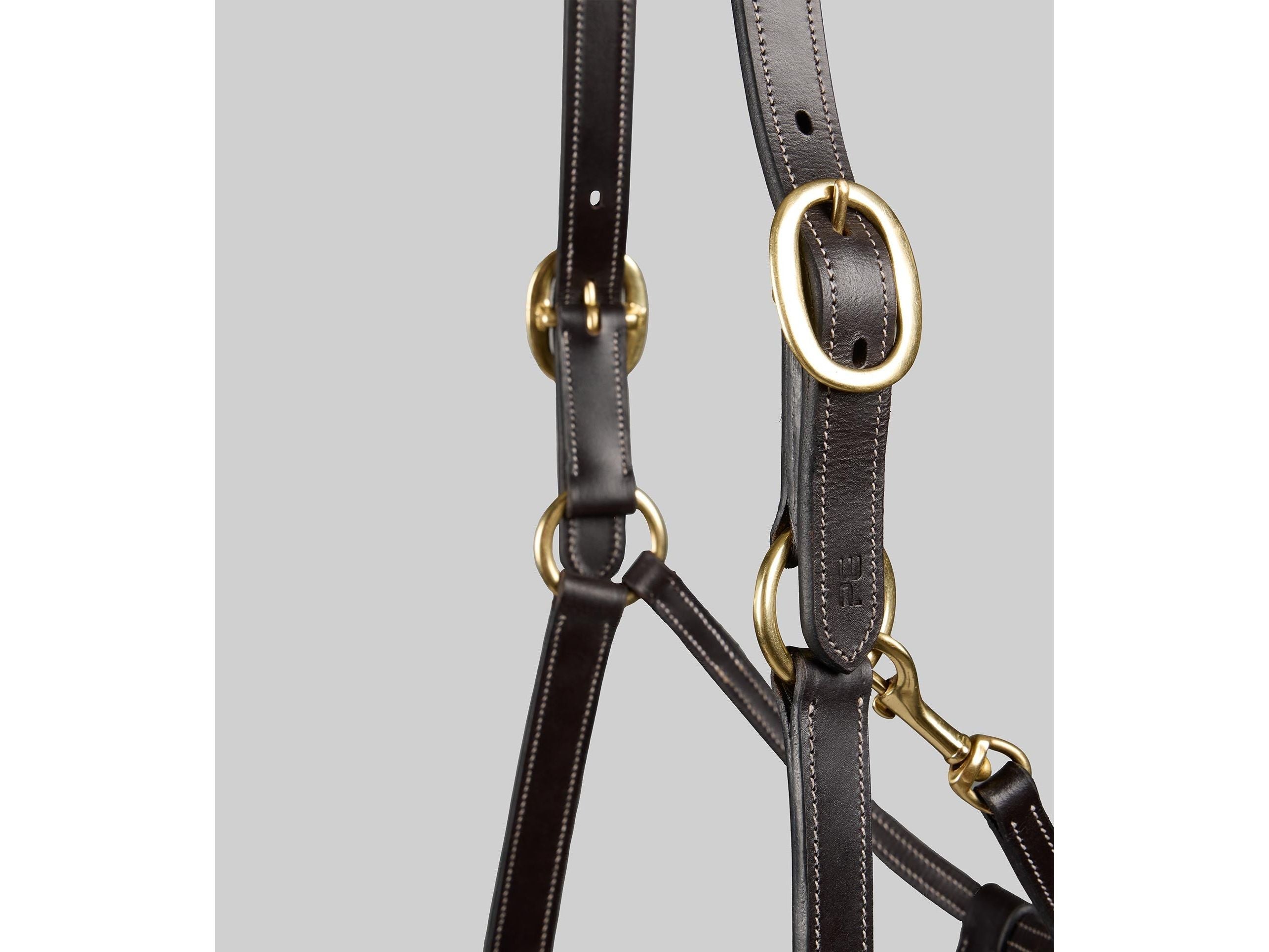 Traditional Leather Headcollar