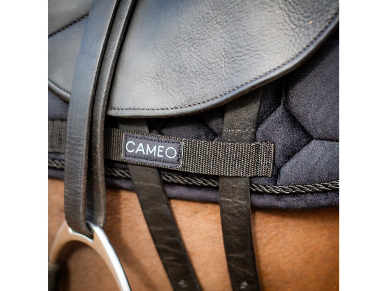 Dressage Saddlecloth close-up