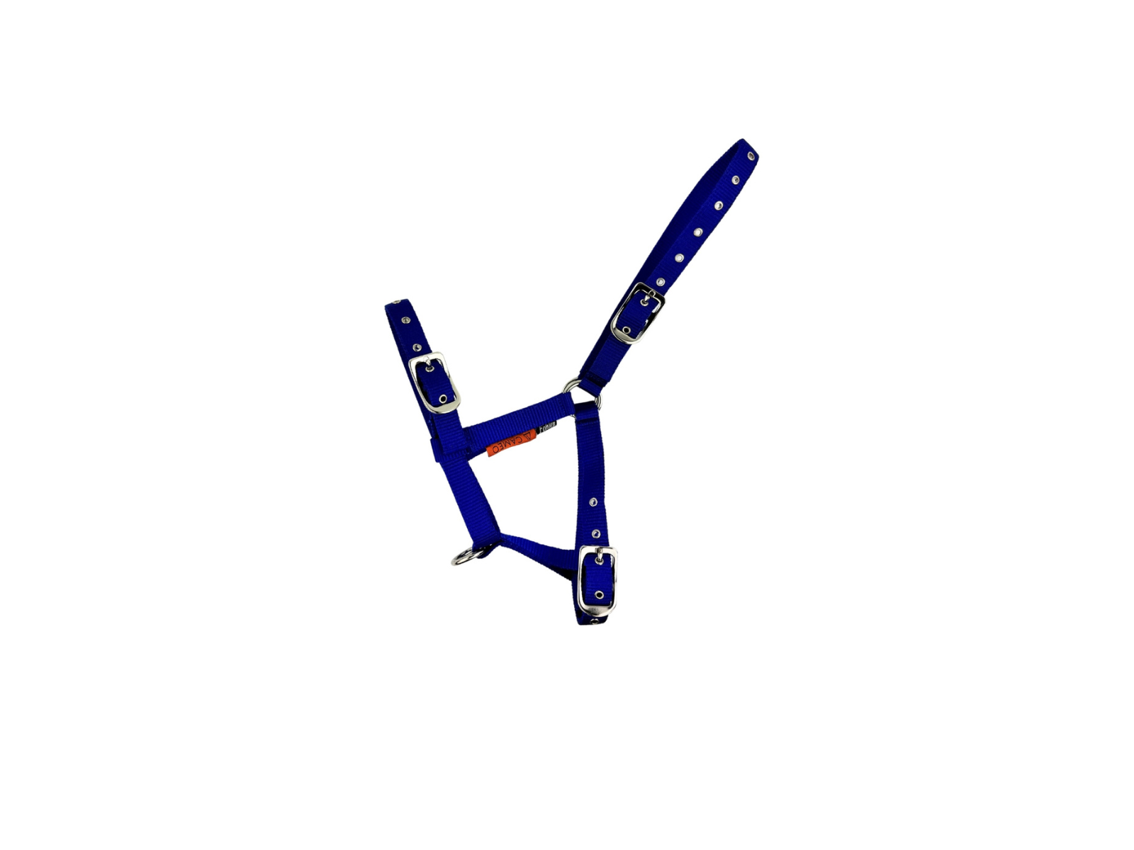 Foal Headcollar side view