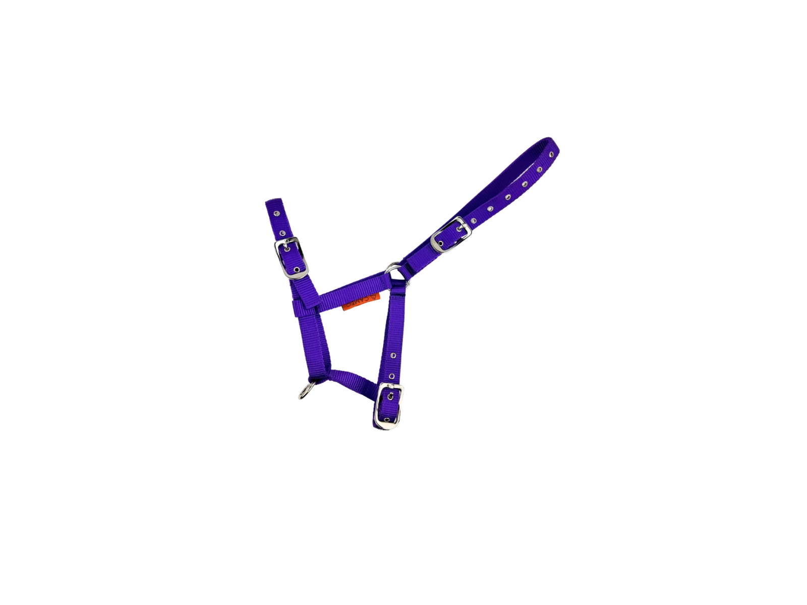 Foal Headcollar main view