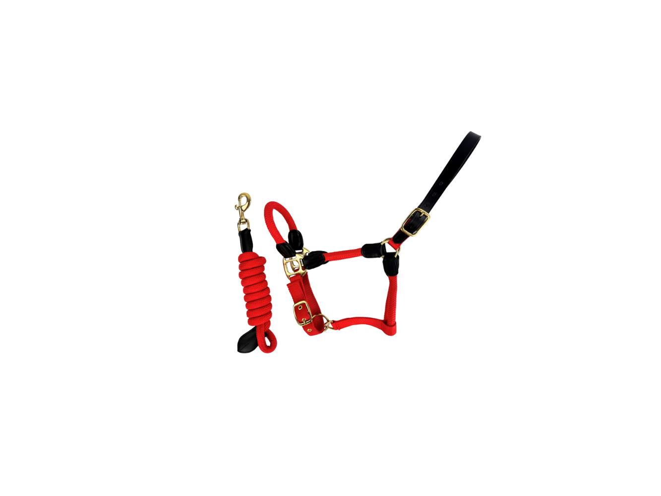 Rope Leather Headcollar and Leadrope main view