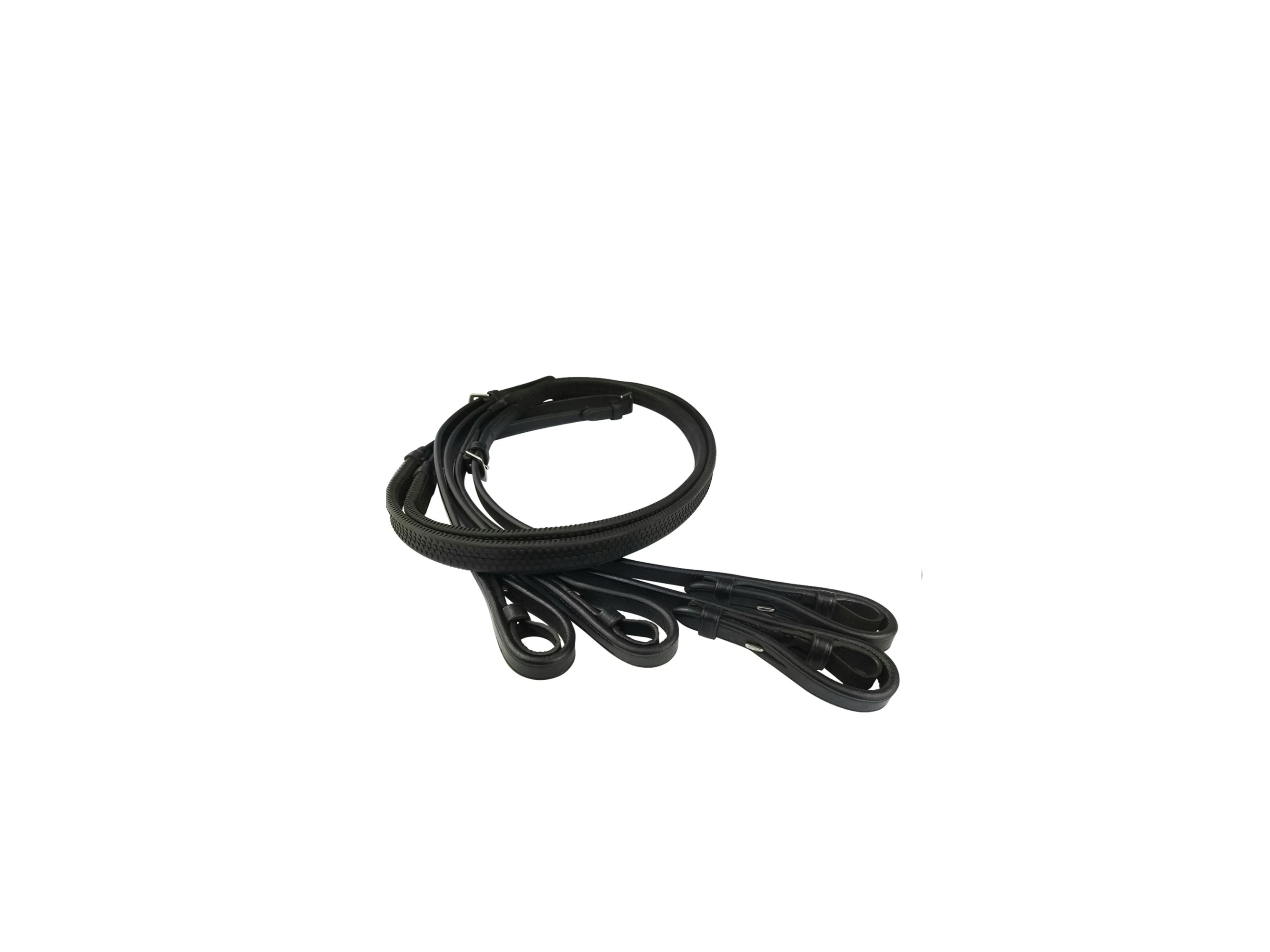 Split Reins main view