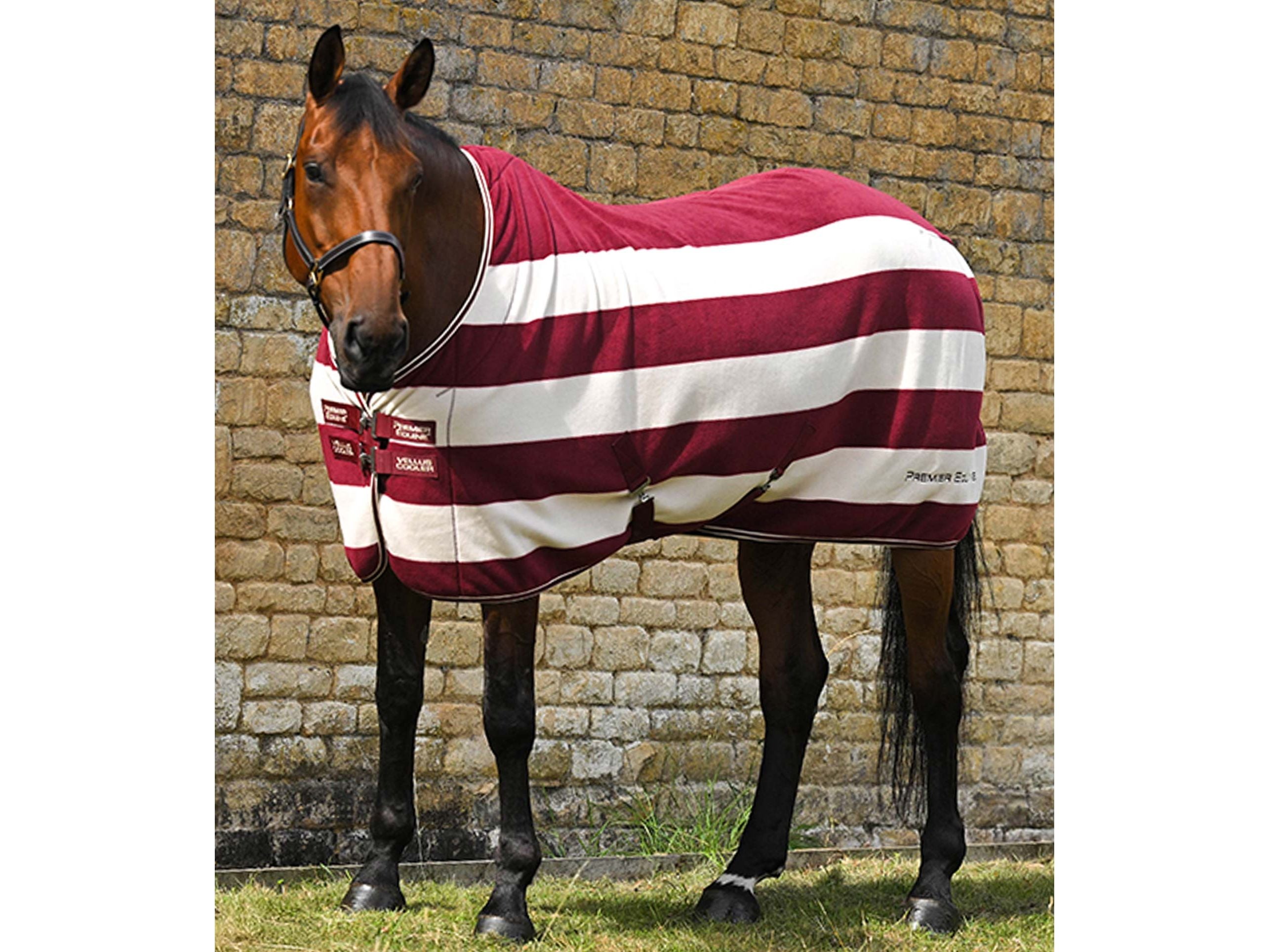 Vellus Horse Fleece Rug
