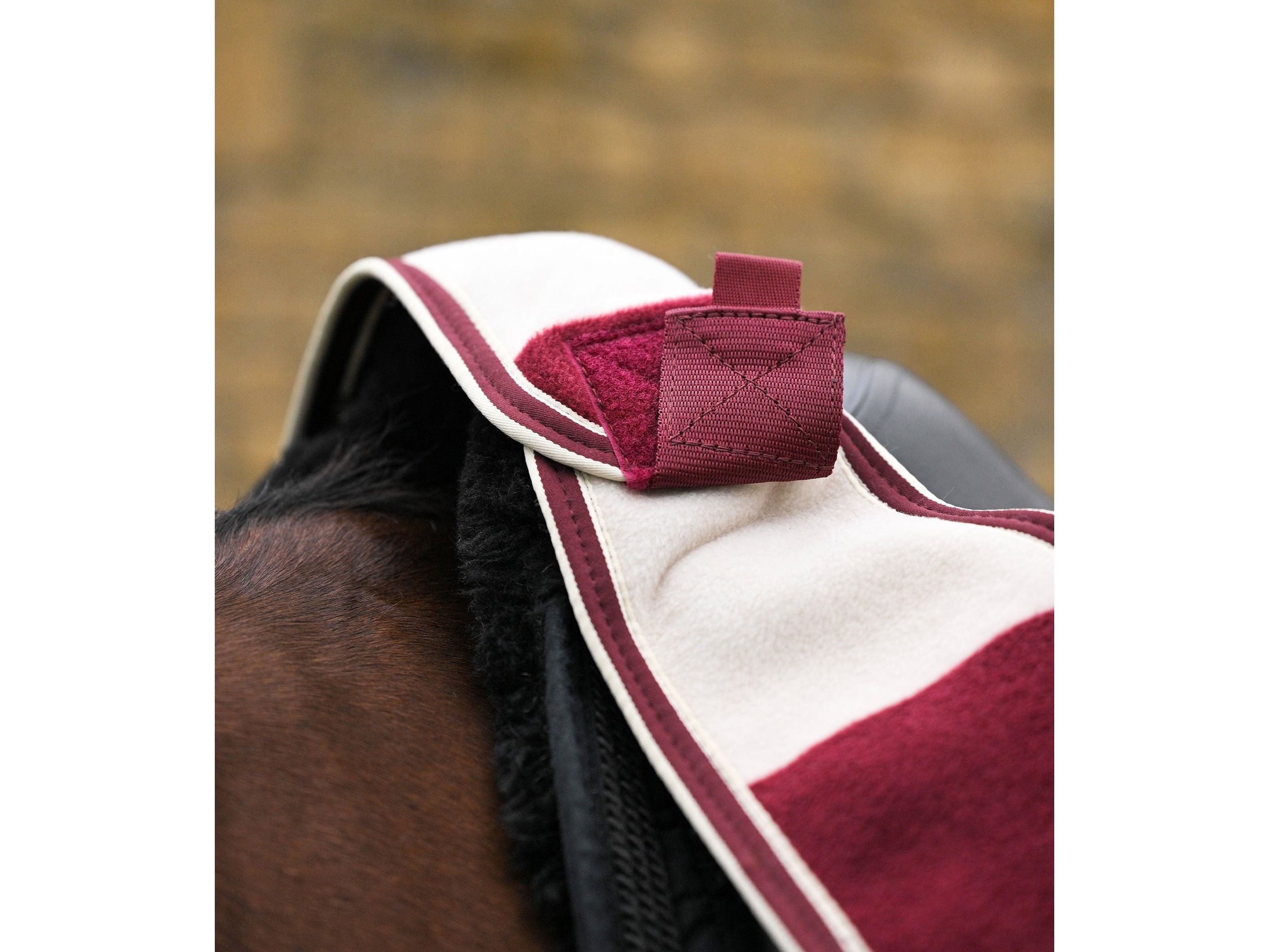 Vellus Horse Fleece Exercise Sheet