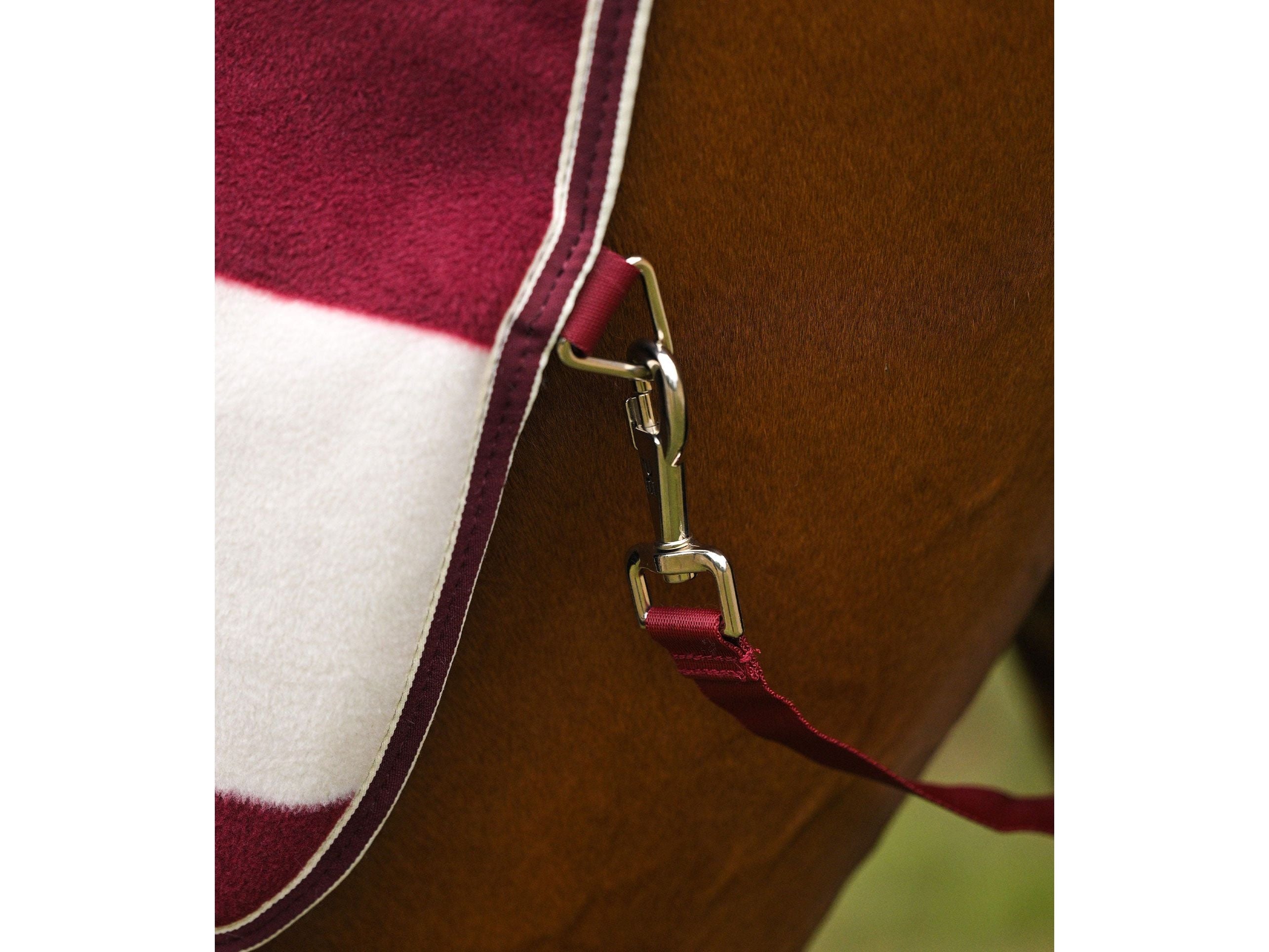Vellus Horse Fleece Exercise Sheet