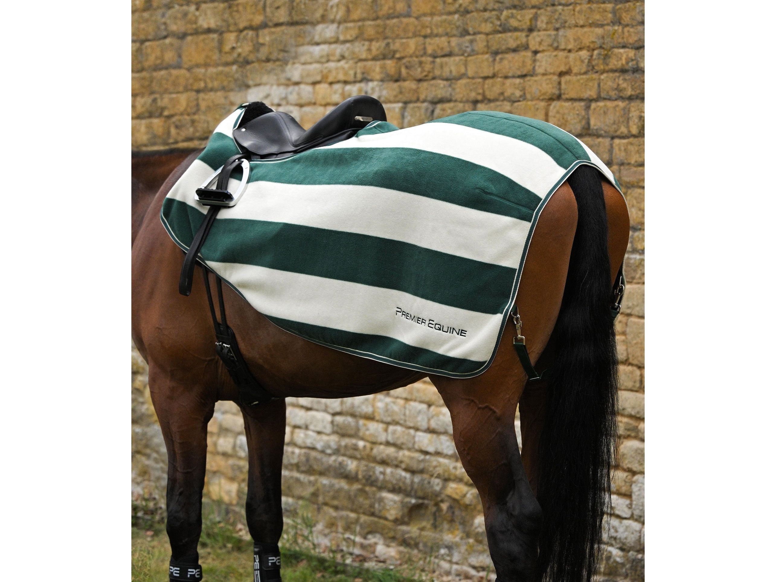 Vellus Horse Fleece Exercise Sheet
