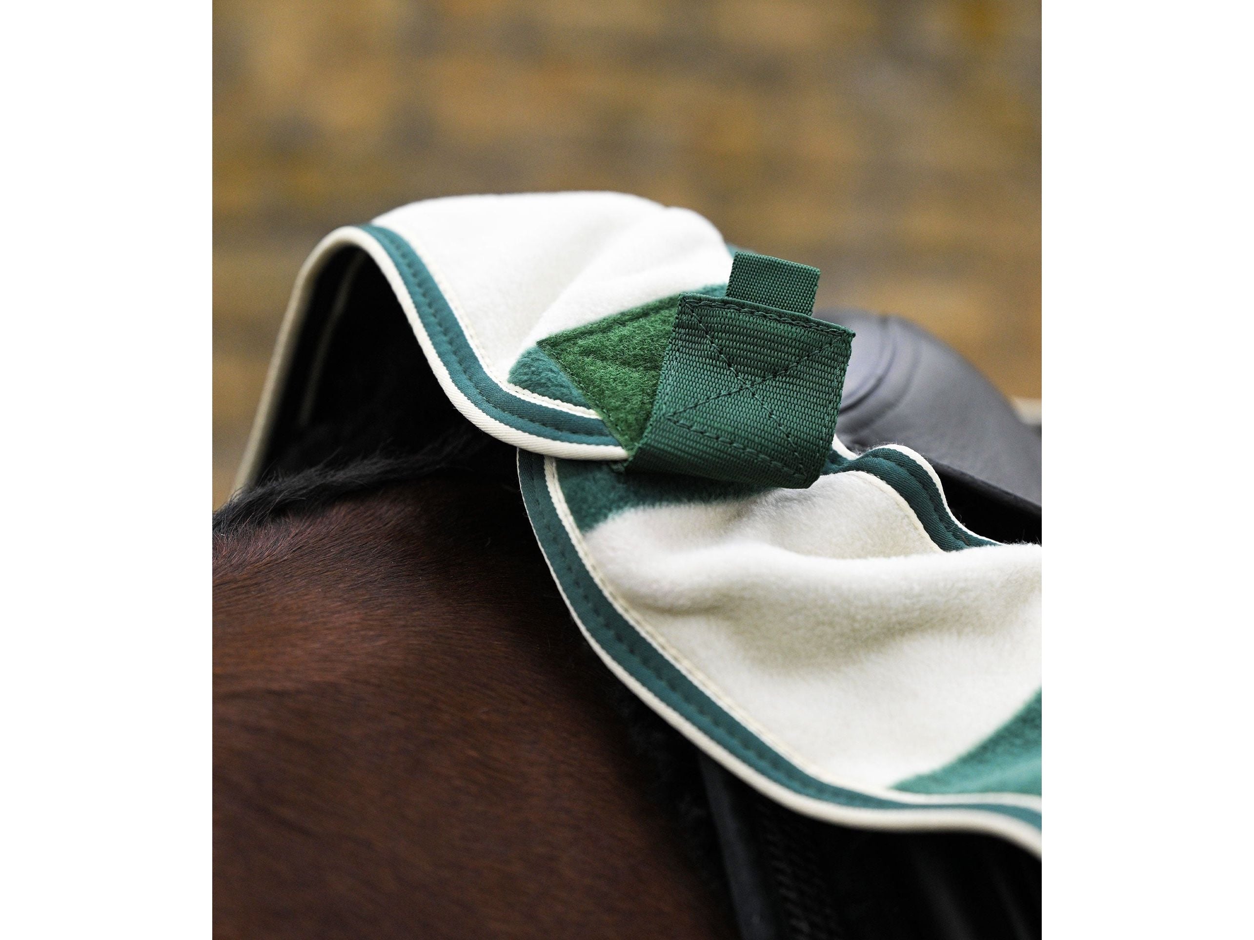 Vellus Horse Fleece Exercise Sheet