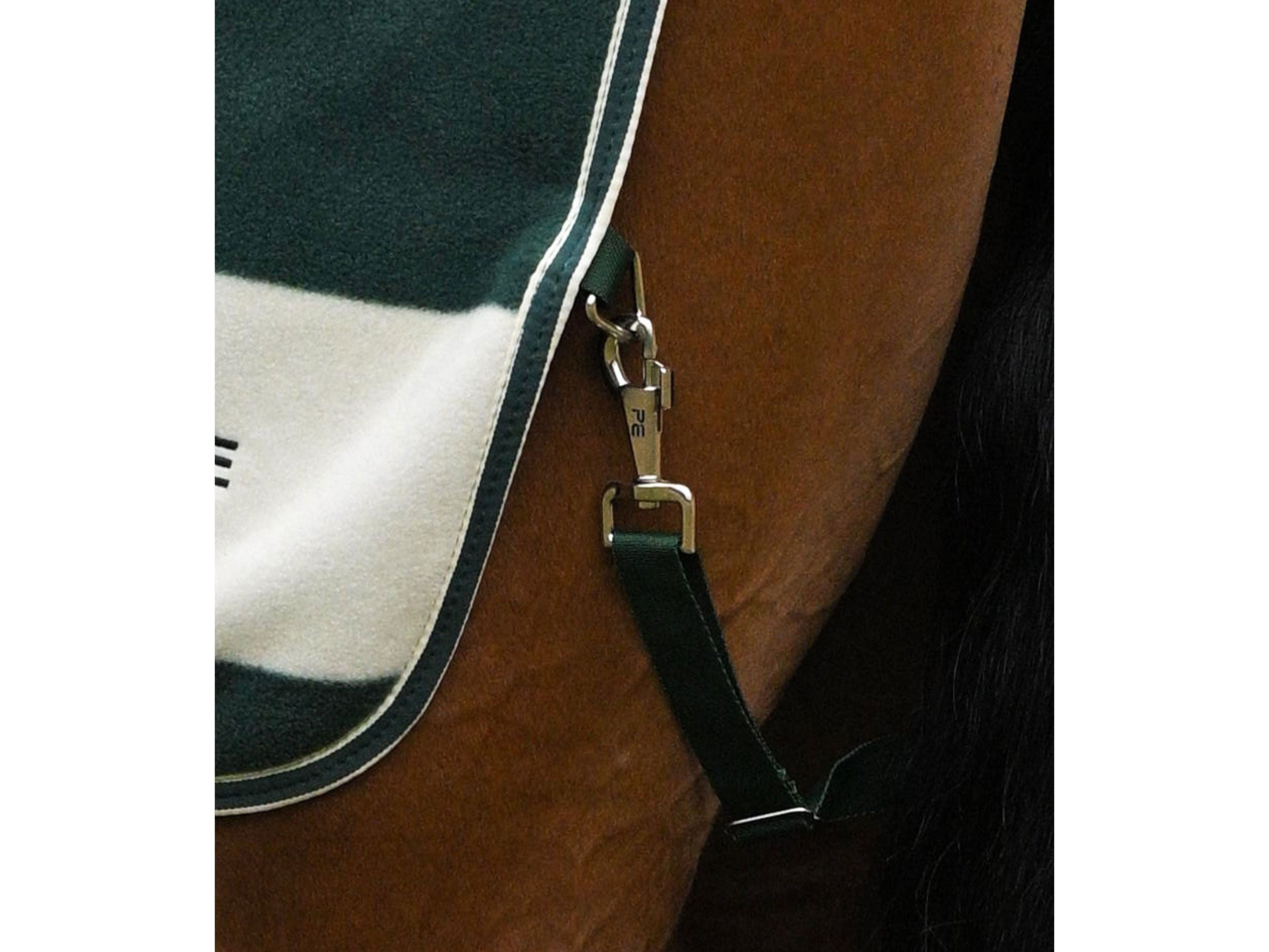 Vellus Horse Fleece Exercise Sheet