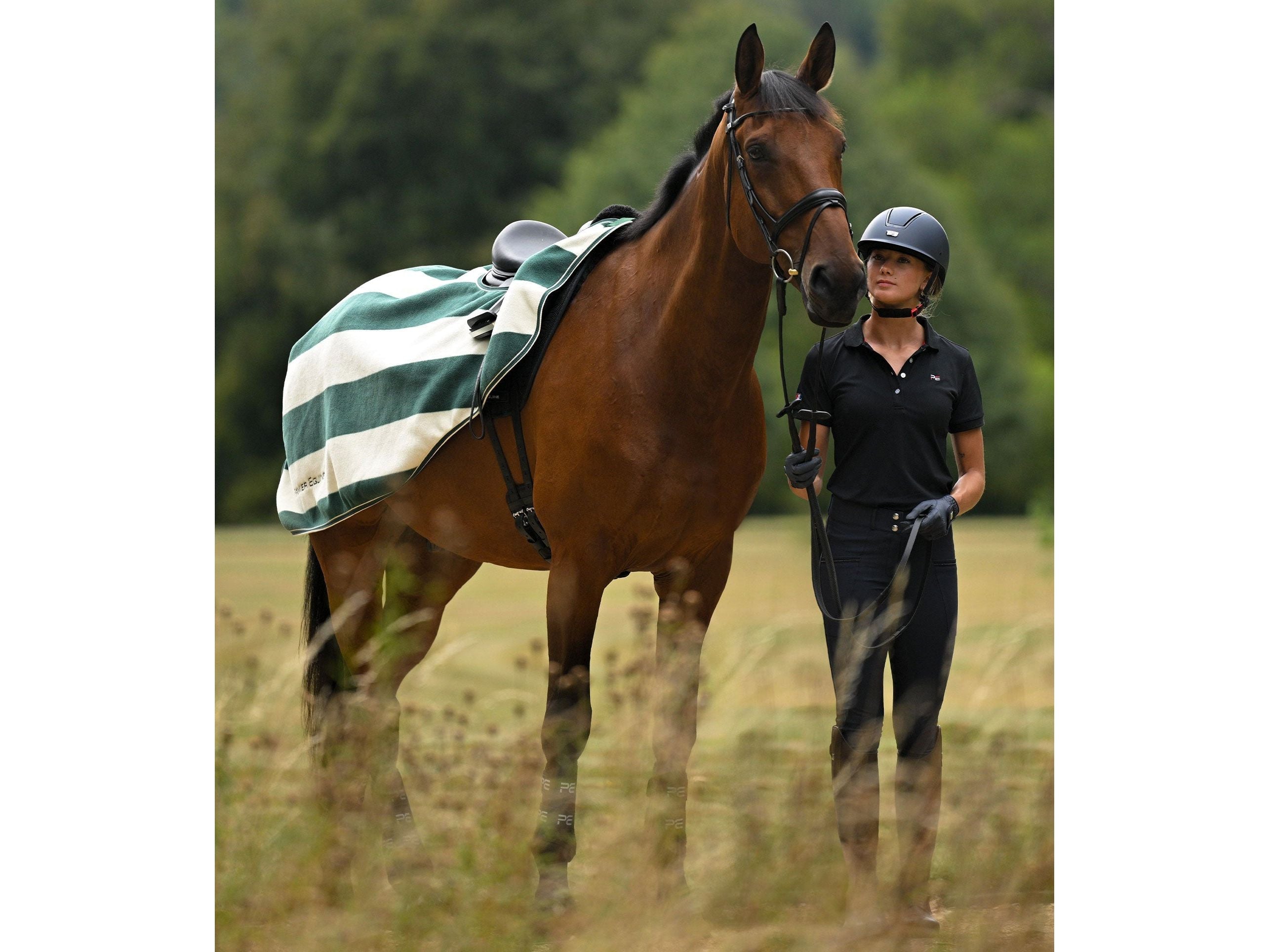 Vellus Horse Fleece Exercise Sheet
