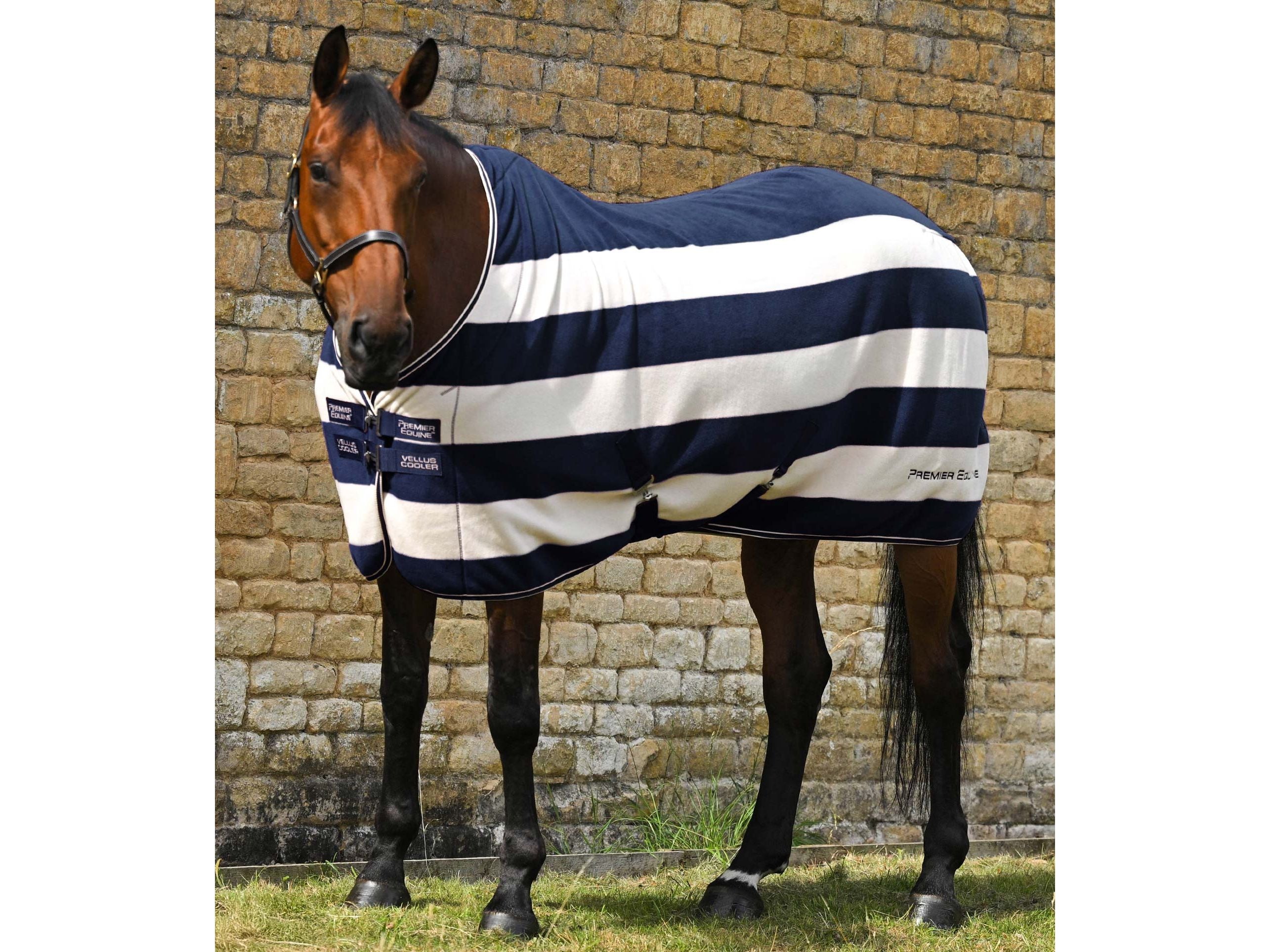 Vellus Horse Fleece Rug