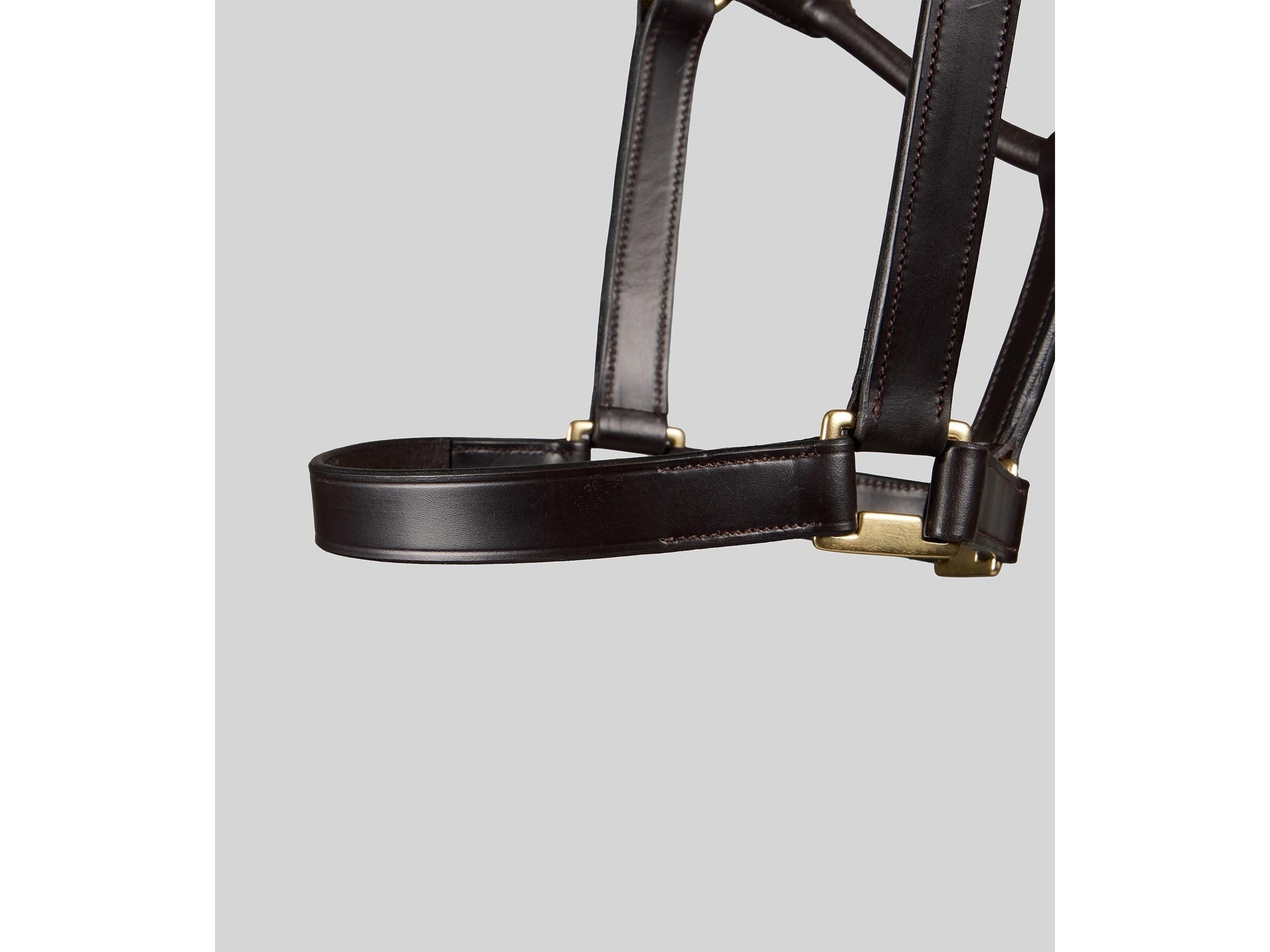Yearling Headcollar 1"