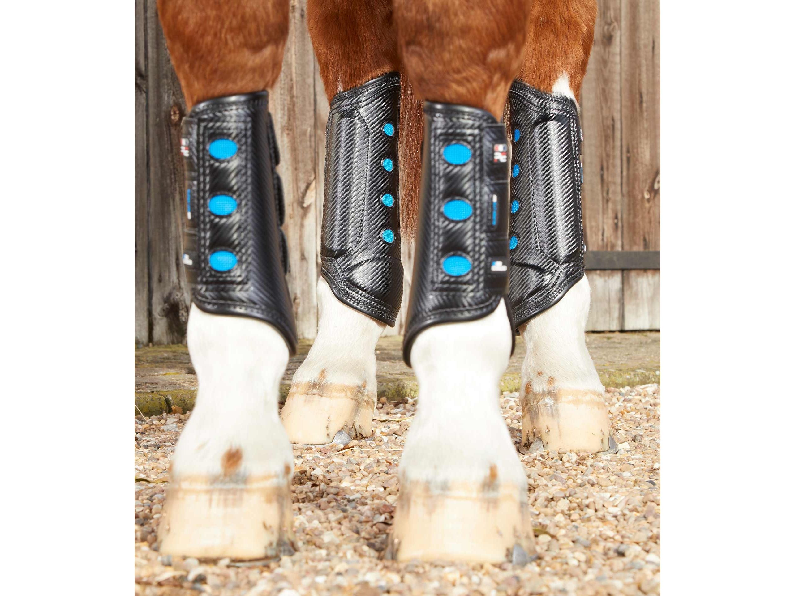 Air Cooled Super Lite Carbon Tech Eventing/Racing Boots Black Hind Black