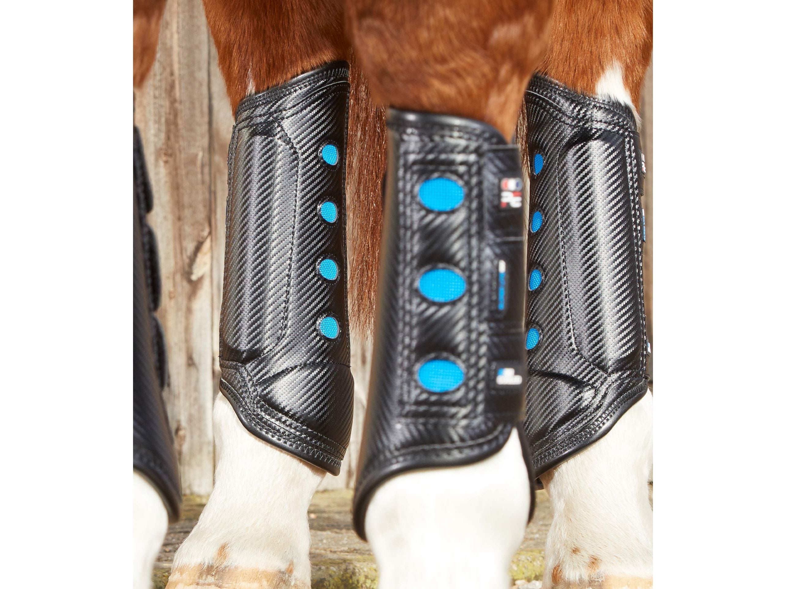 Air Cooled Super Lite Carbon Tech Eventing/Racing Boots Black Hind Black
