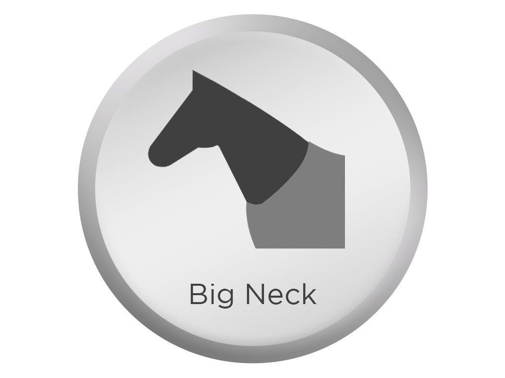 Bucas Power Turnout Light Big Neck RRP £231.00