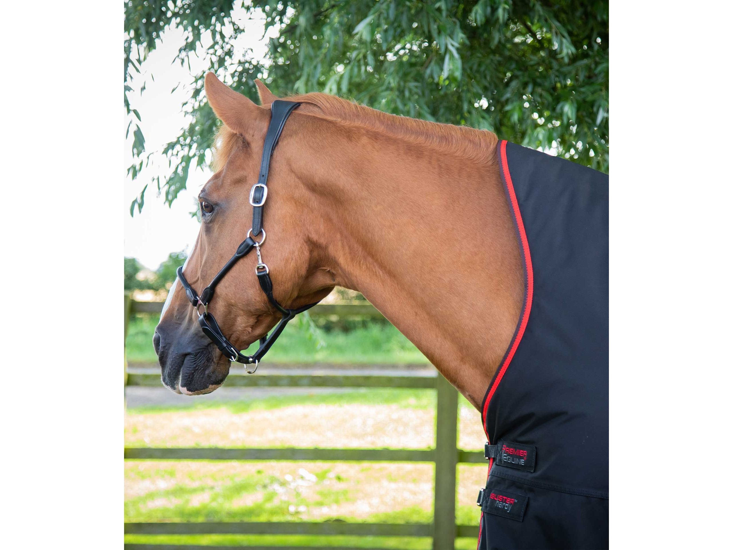 Buster Hardy 400g Half Neck Turnout Rug