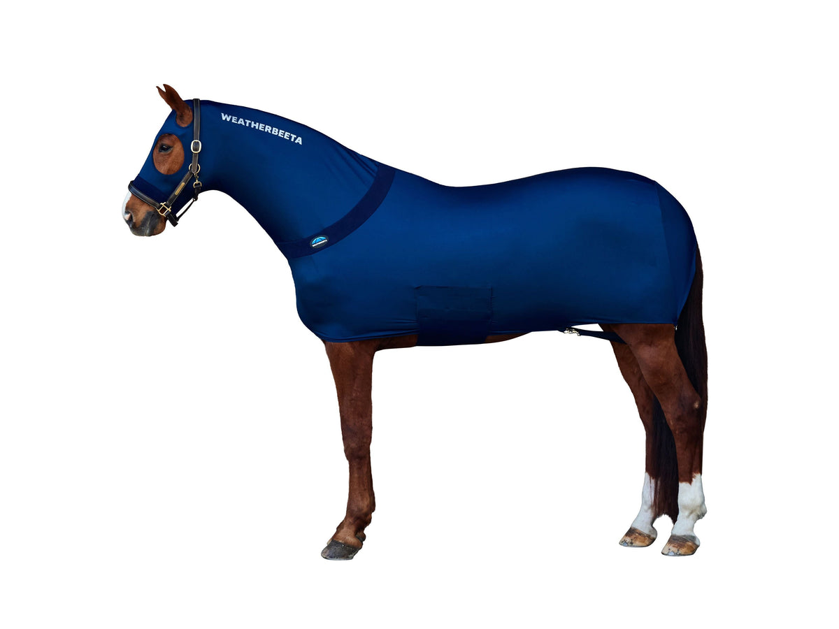 WeatherBeeta Stretch Rug