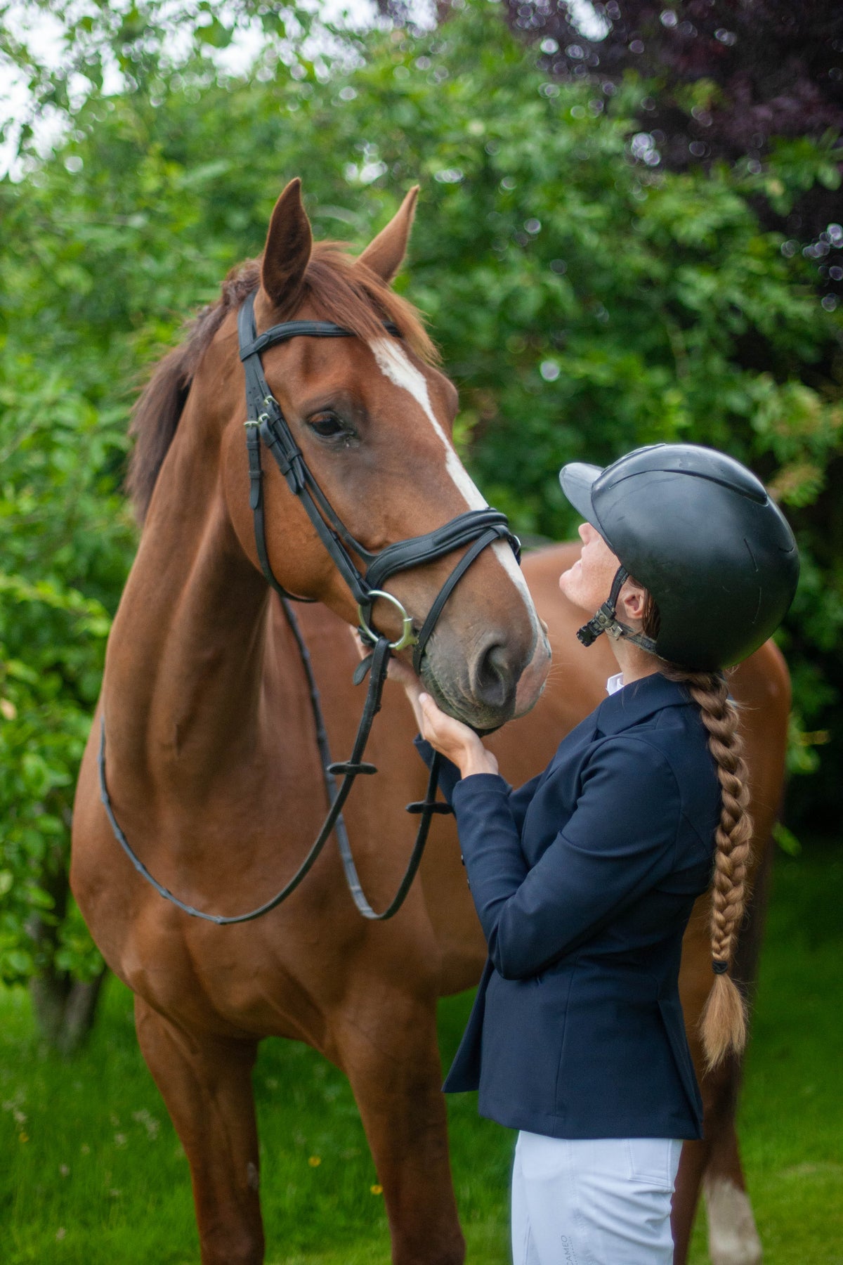 Saddle Masters