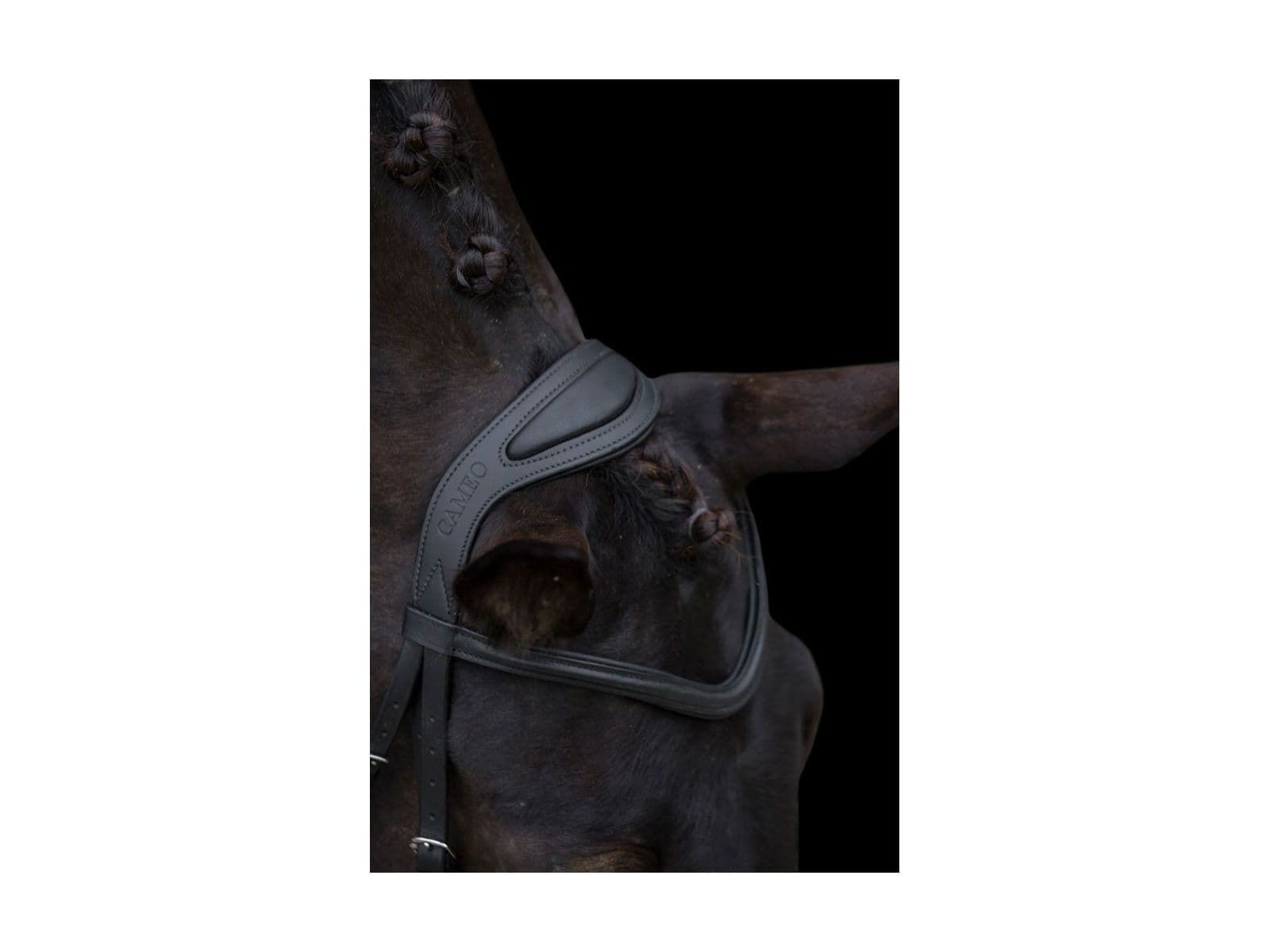 Cameo Equine Anatomic Comfort Bridle With Sure Grip Reins