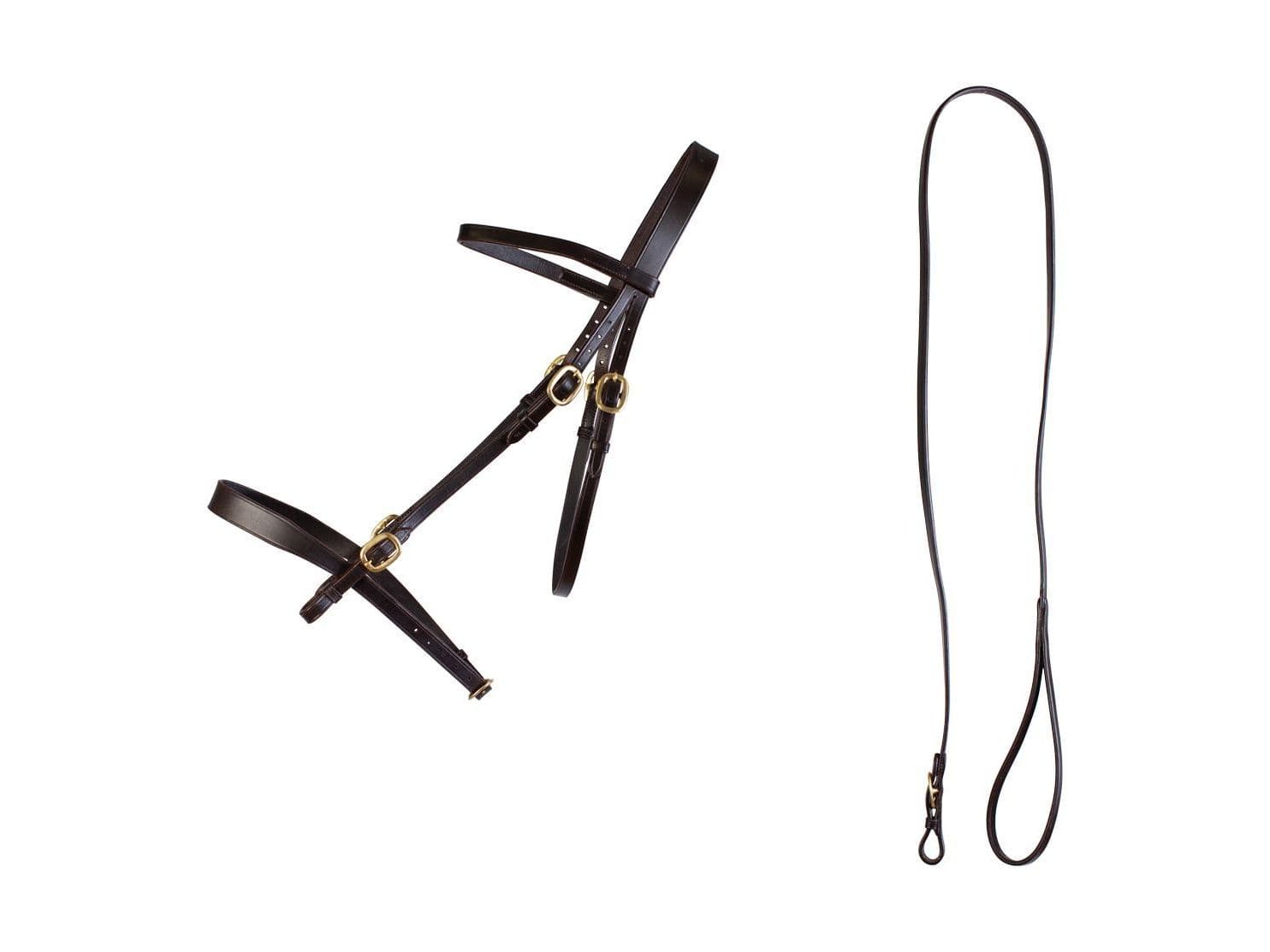 Cameo Equine In Hand Bridle and Lead