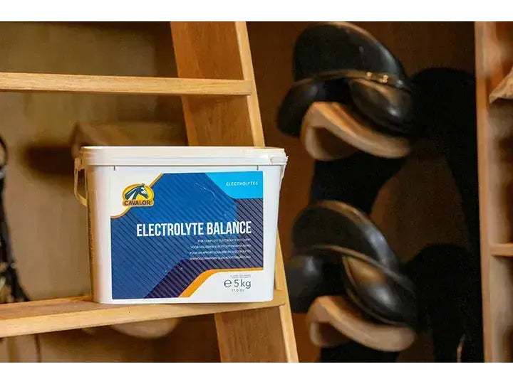 Cavalor Electrolyte Balance