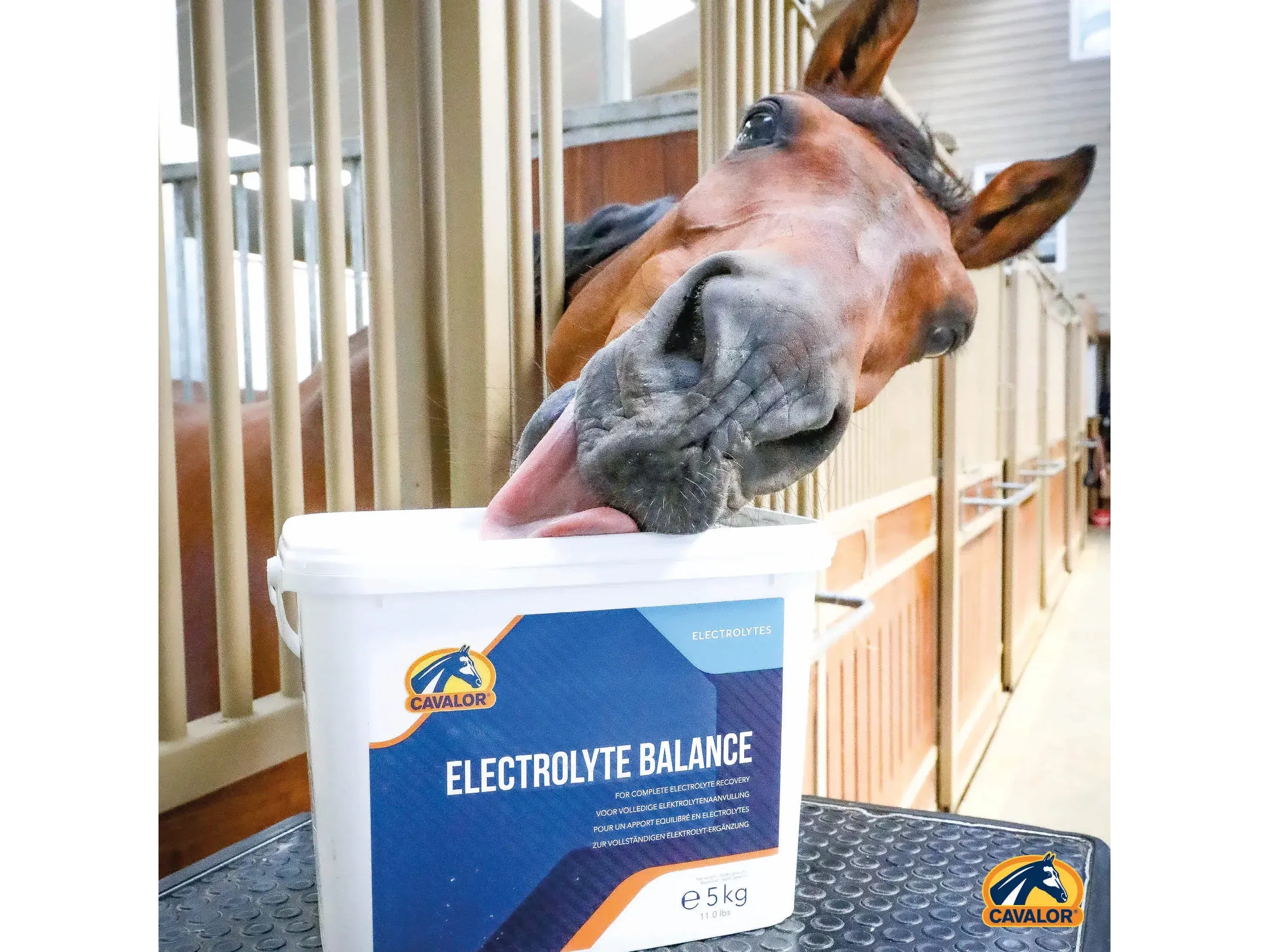 Cavalor Electrolyte Balance