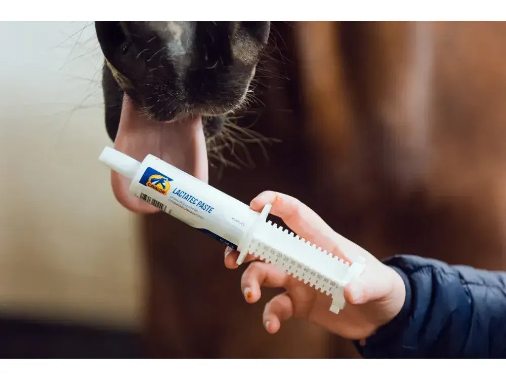 Cavalor Lactatec Paste