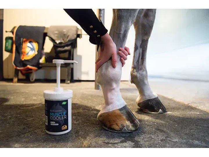 Cavalor Muscle Cooler