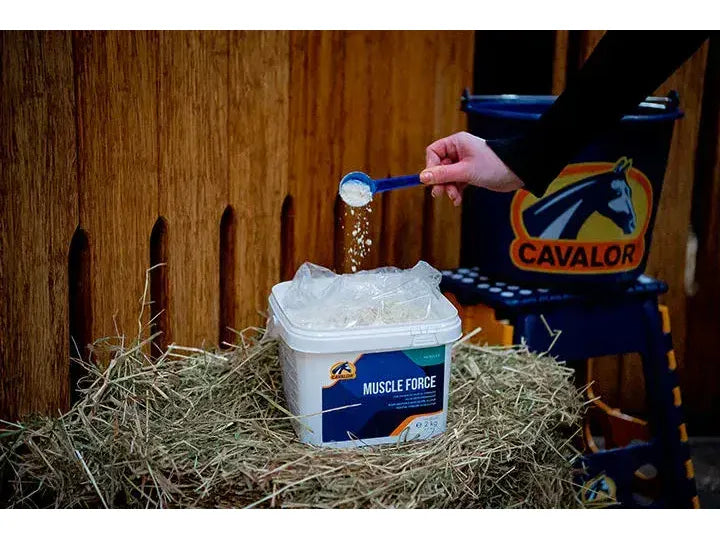 Cavalor Muscle Force