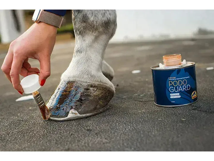 Cavalor Podoguard | Saddlemasters