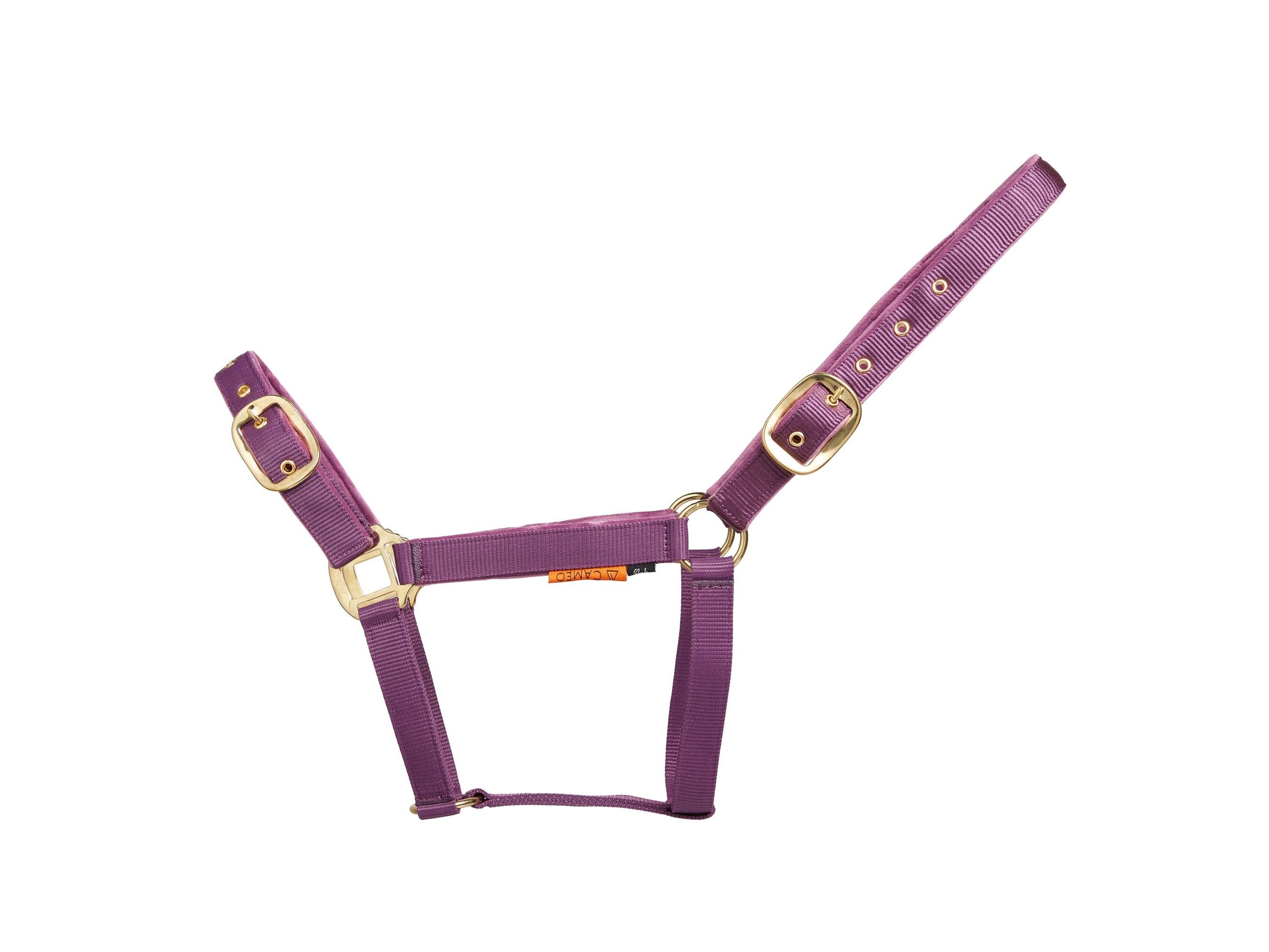 Suede Padded Headcollar view