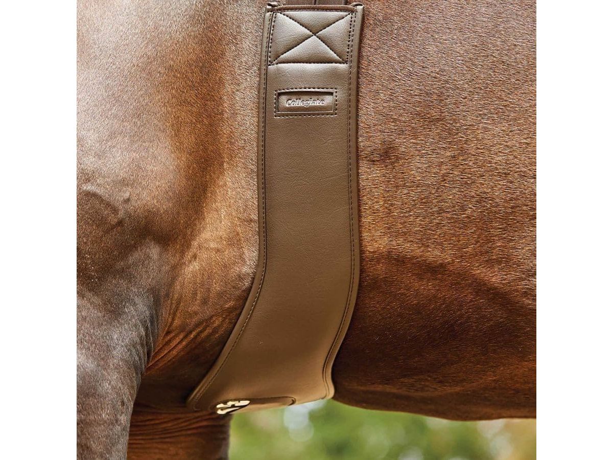 Collegiate Anatomic Girth