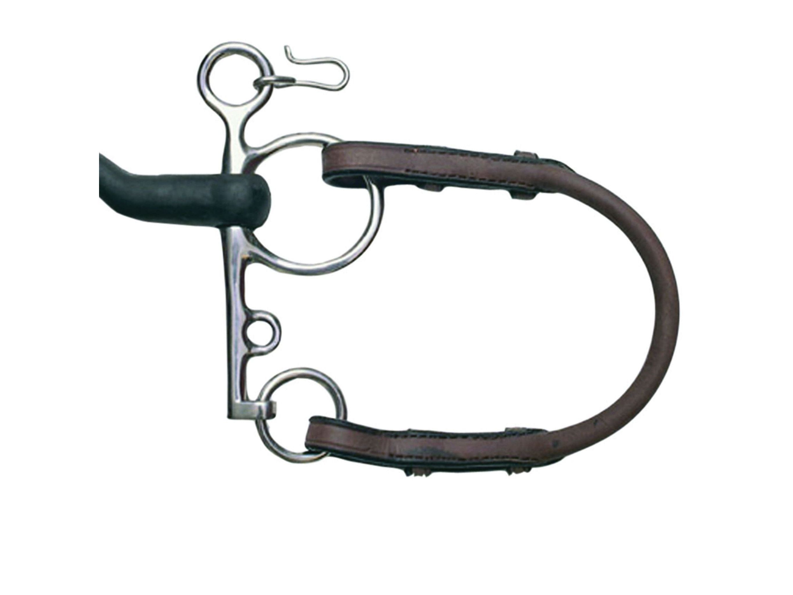 Collegiate Bit Roundings Iv