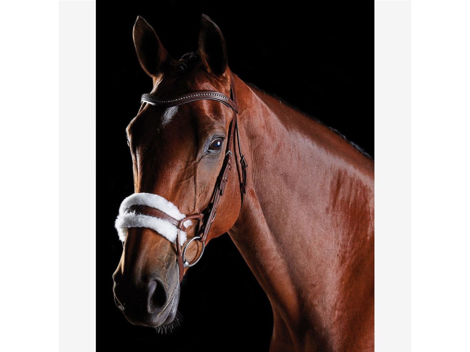 Collegiate Comfitec Sheepskin Bridle