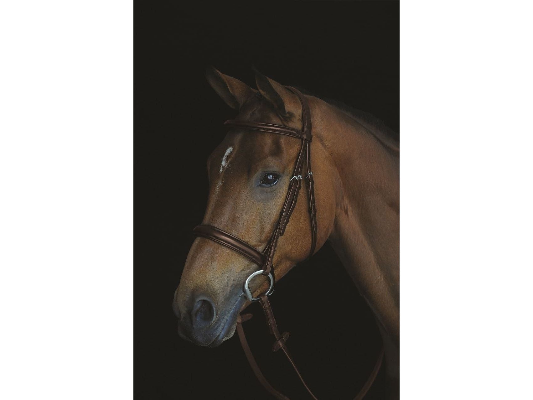 Collegiate Comfort Crown Padded Raised Cavesson Bridle
