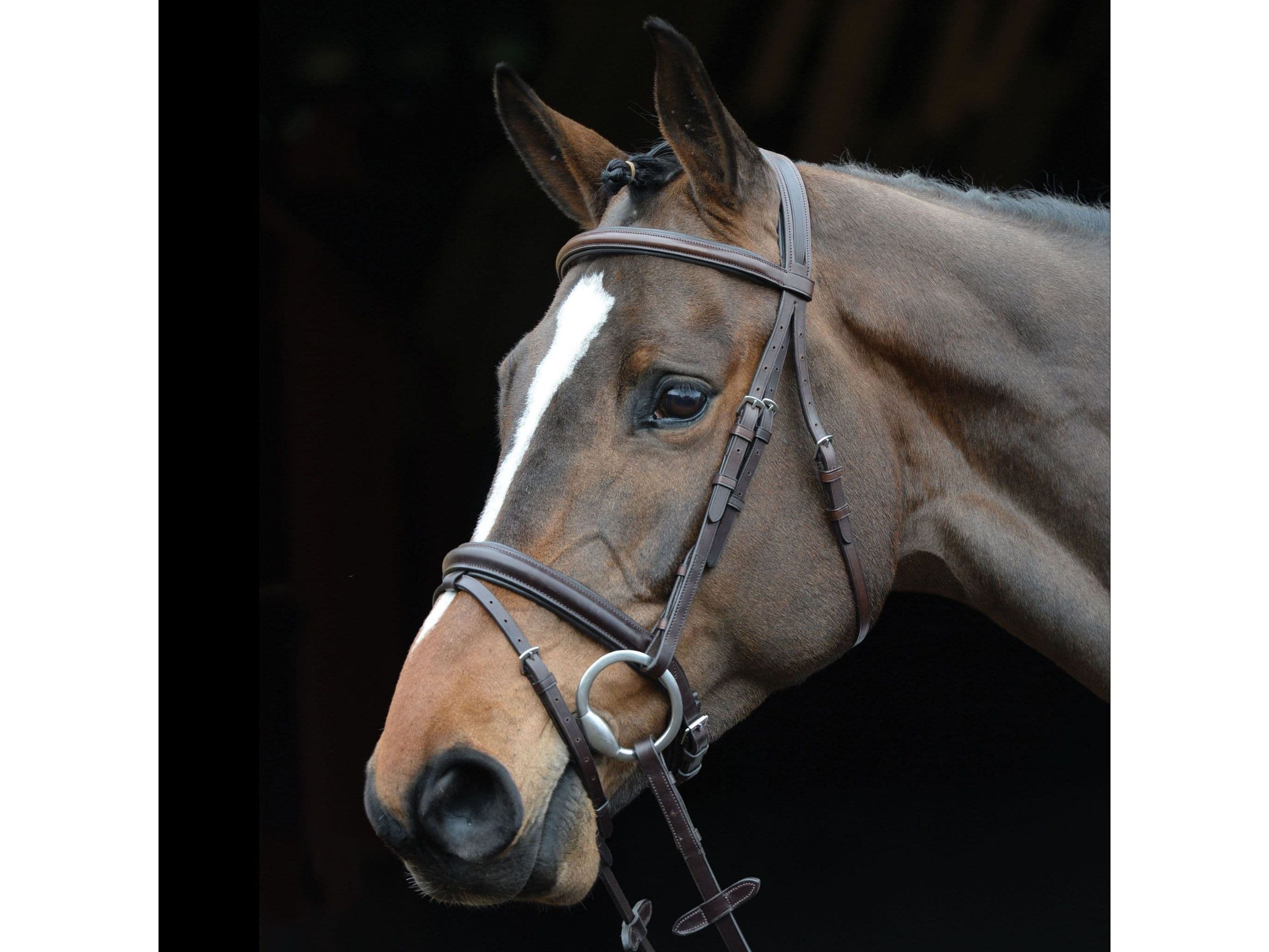 Collegiate Comfort Crown Padded Raised Flash Bridle