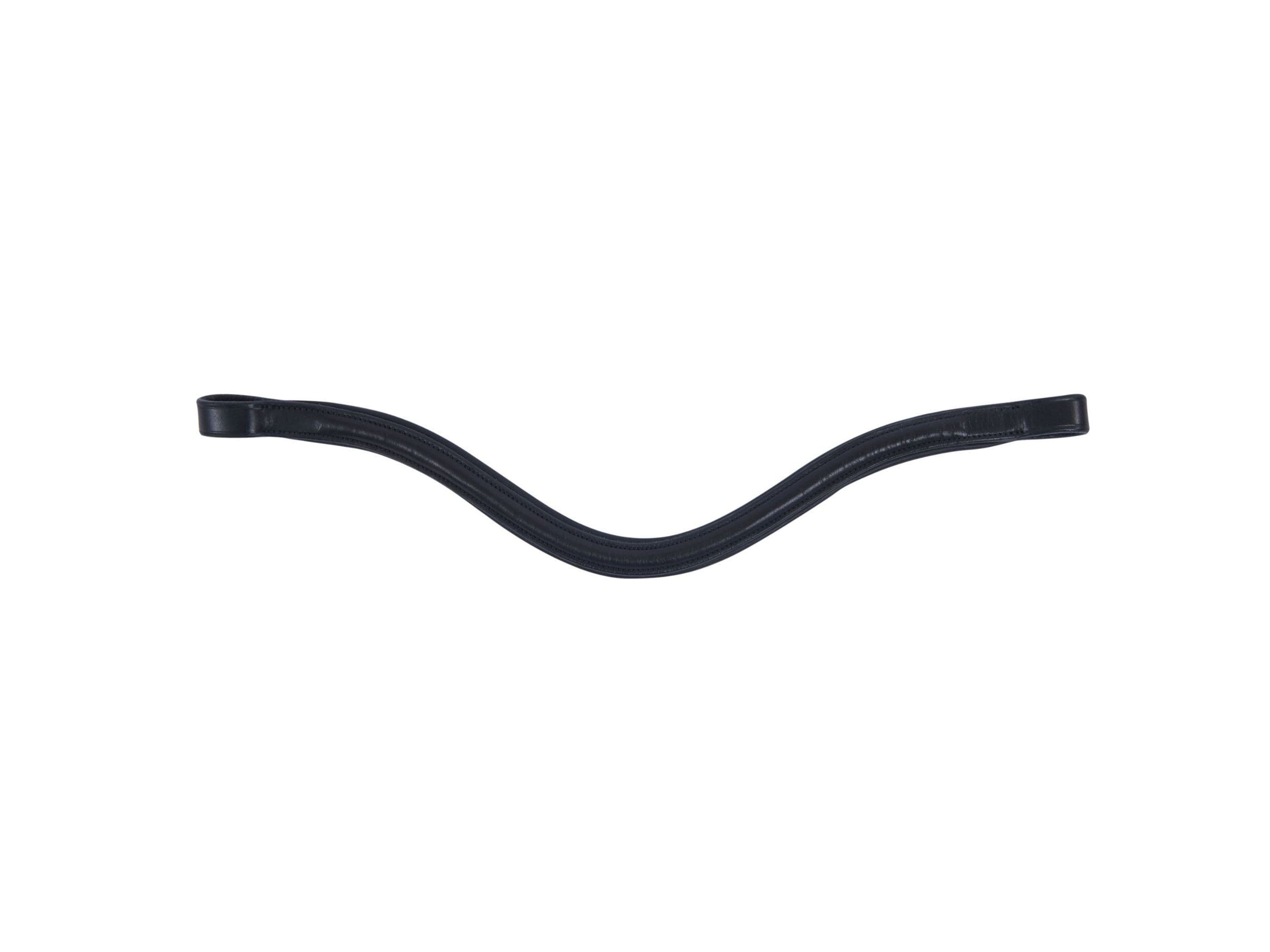 Collegiate Curved Raised Browband Iv