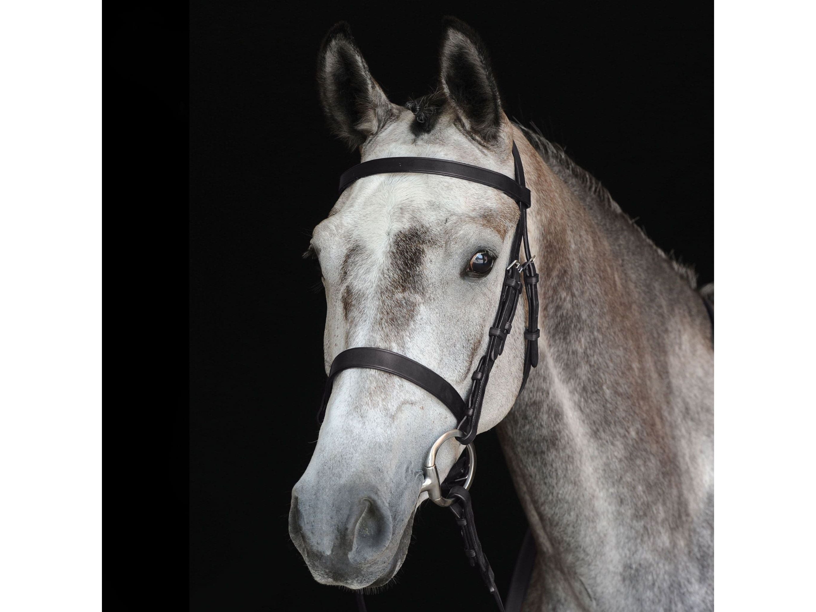 Collegiate Hunt Cavesson Bridle Iv