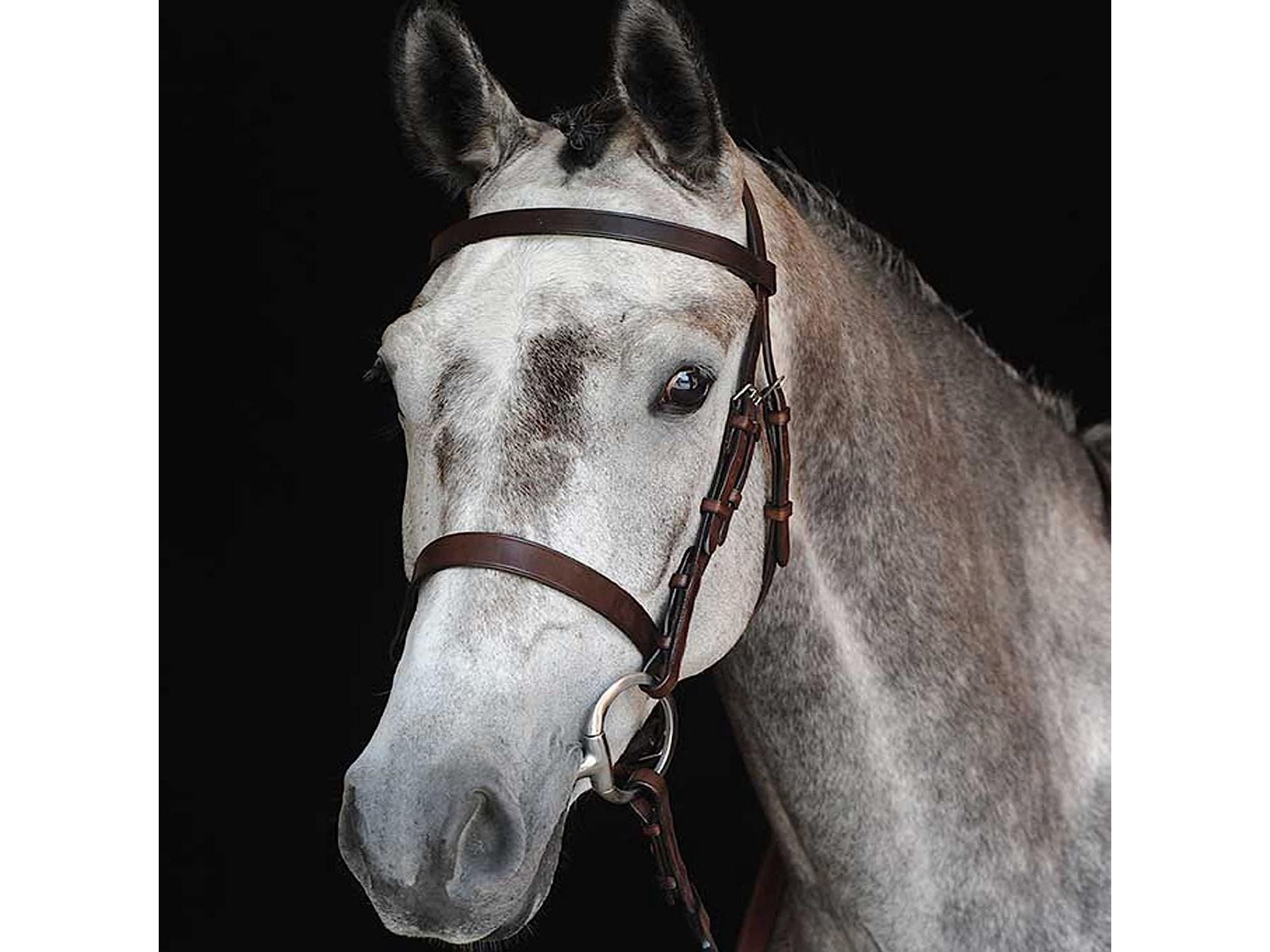 Collegiate Hunt Cavesson Bridle Iv