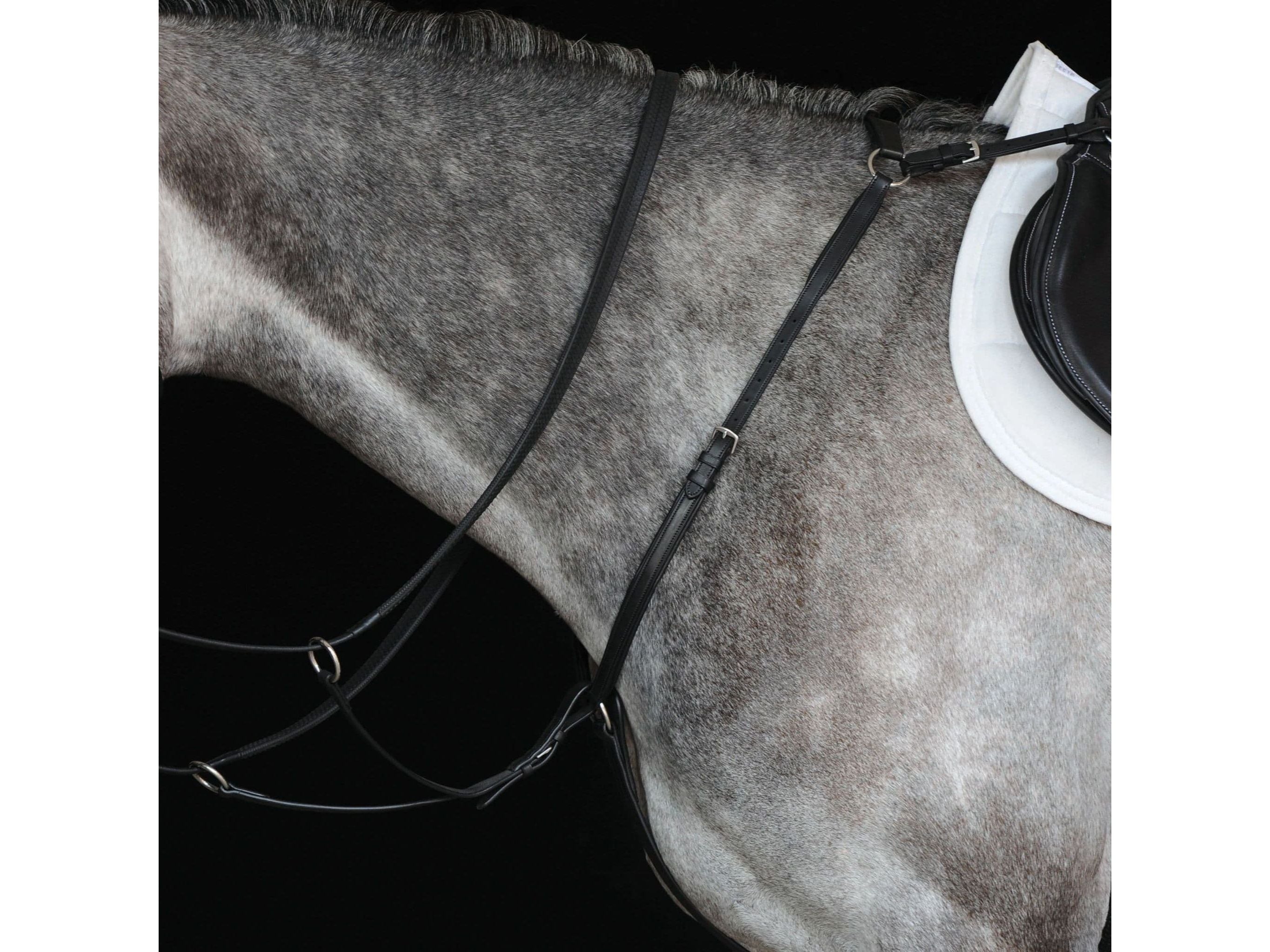 Collegiate Hunter Breast Plate Iv