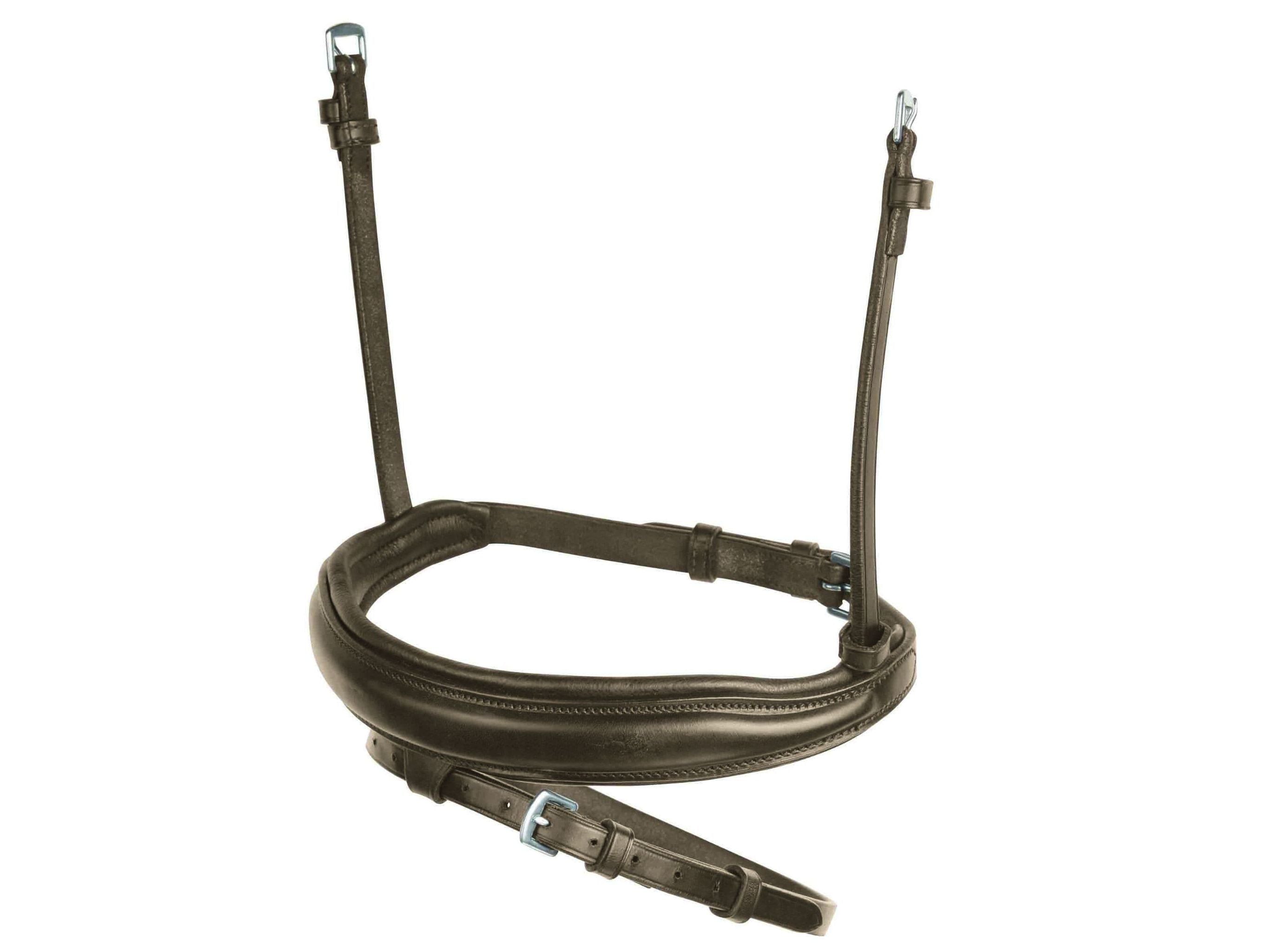 Collegiate Mono Crown Flash Noseband