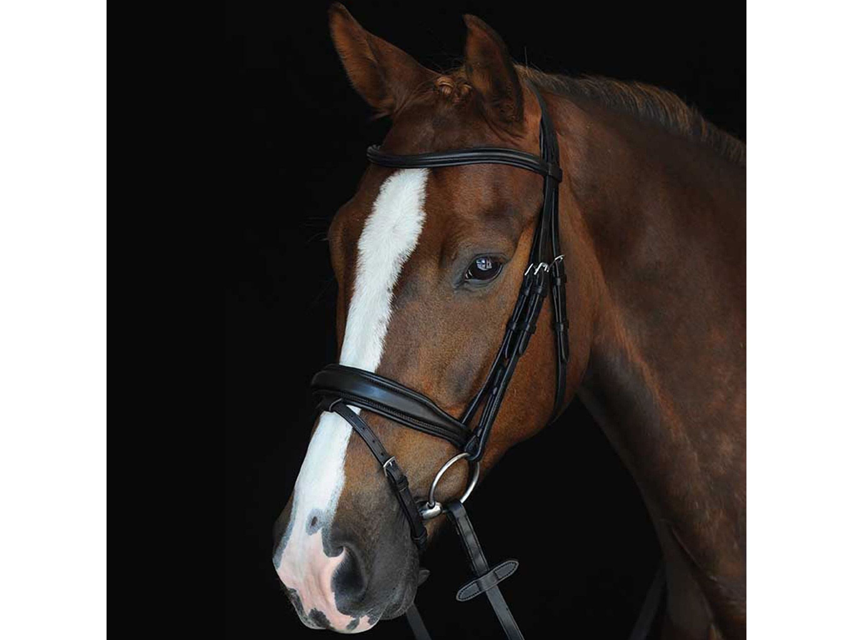 Collegiate Mono Crown Padded Raised Flash Bridle