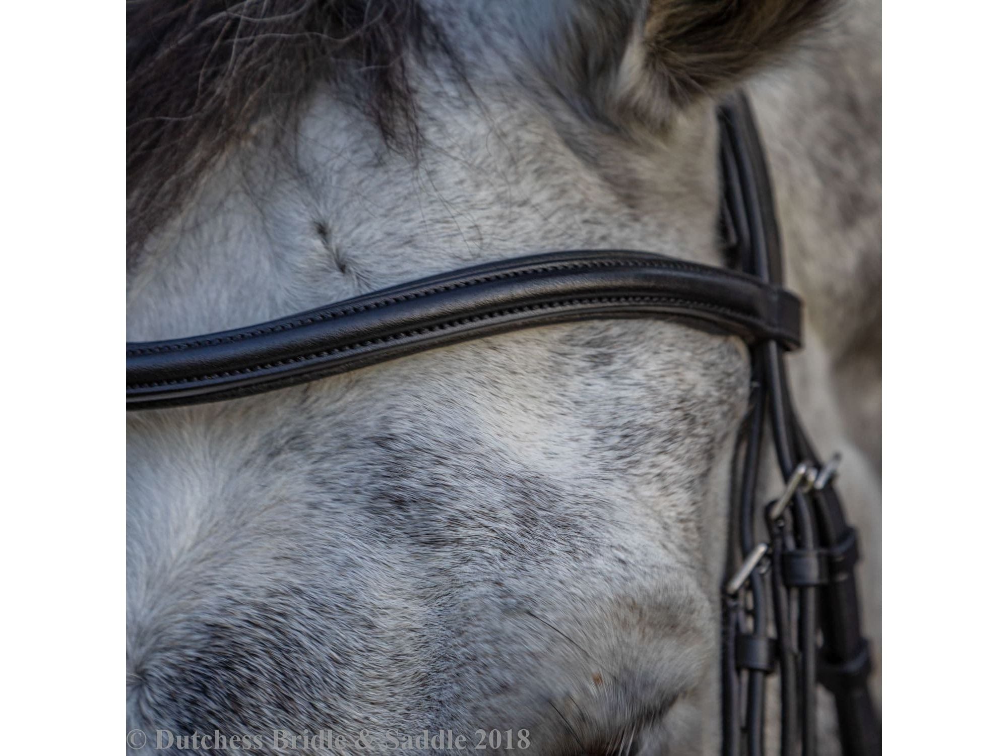 Collegiate Mono Crown Padded Raised Flash Bridle
