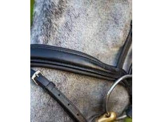 Collegiate Mono Crown Padded Raised Flash Bridle